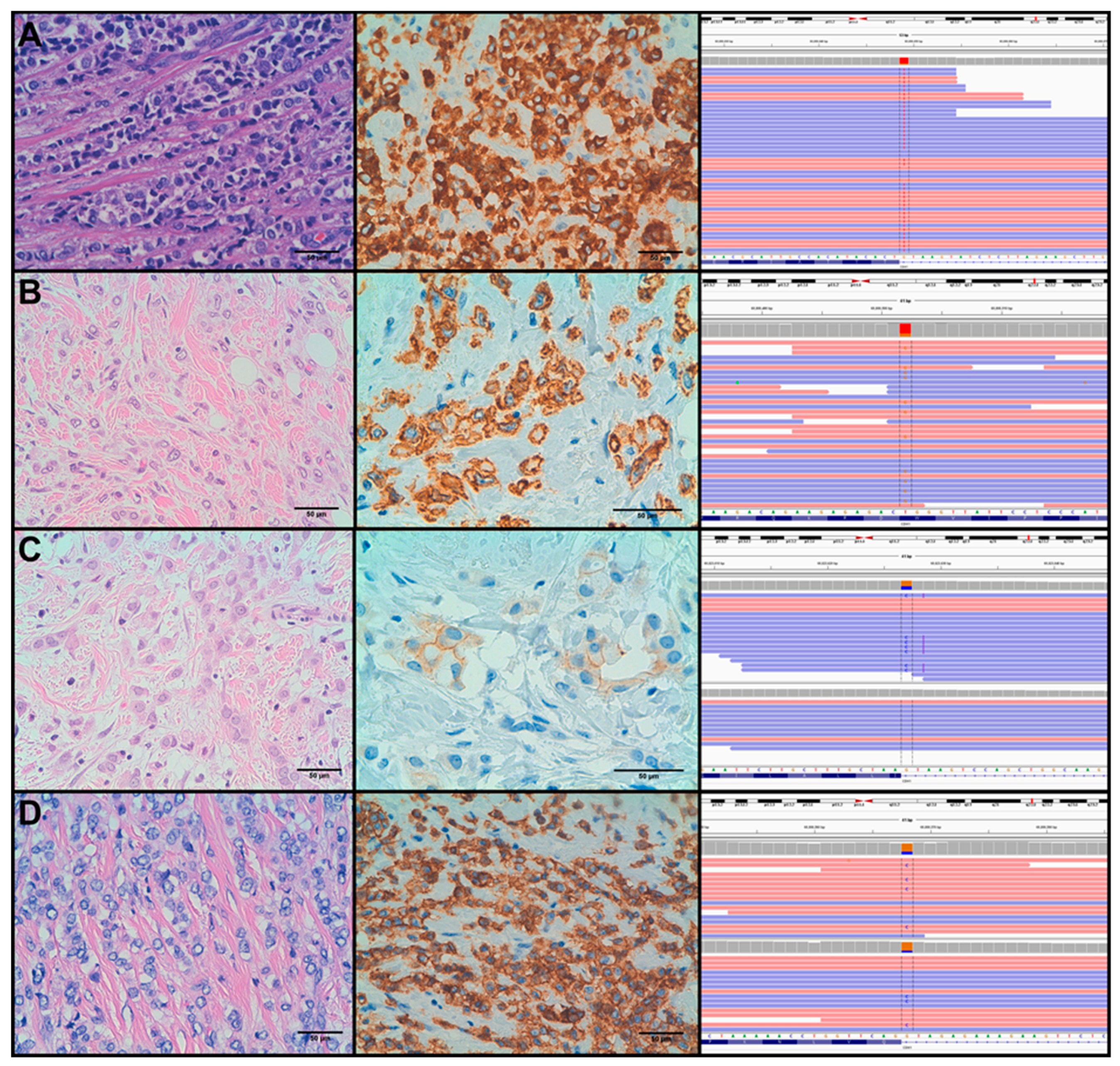 Cancers 11 00074 g002 Cancers 11 00074 g002