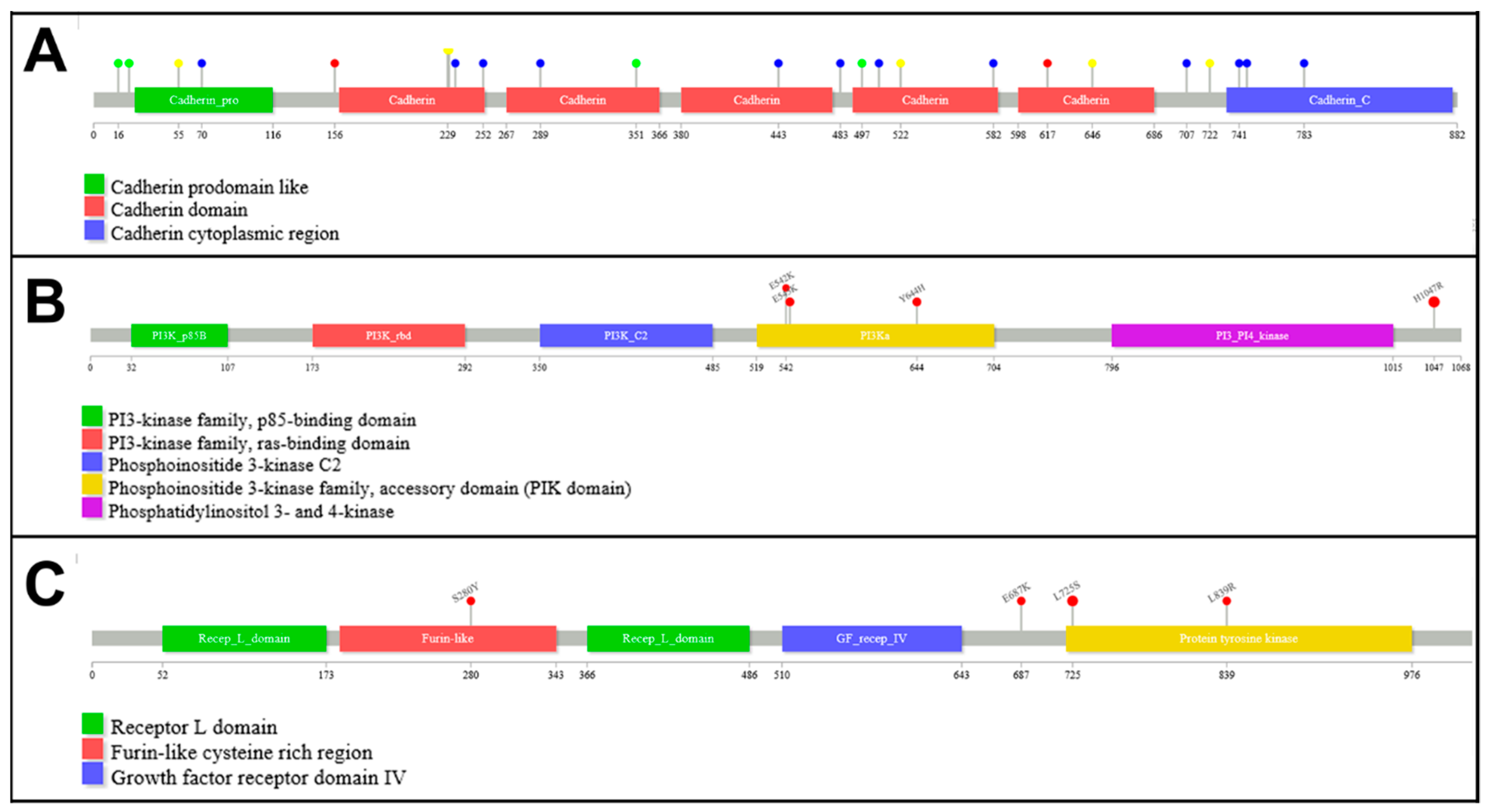 Cancers 11 00074 g003 Cancers 11 00074 g003