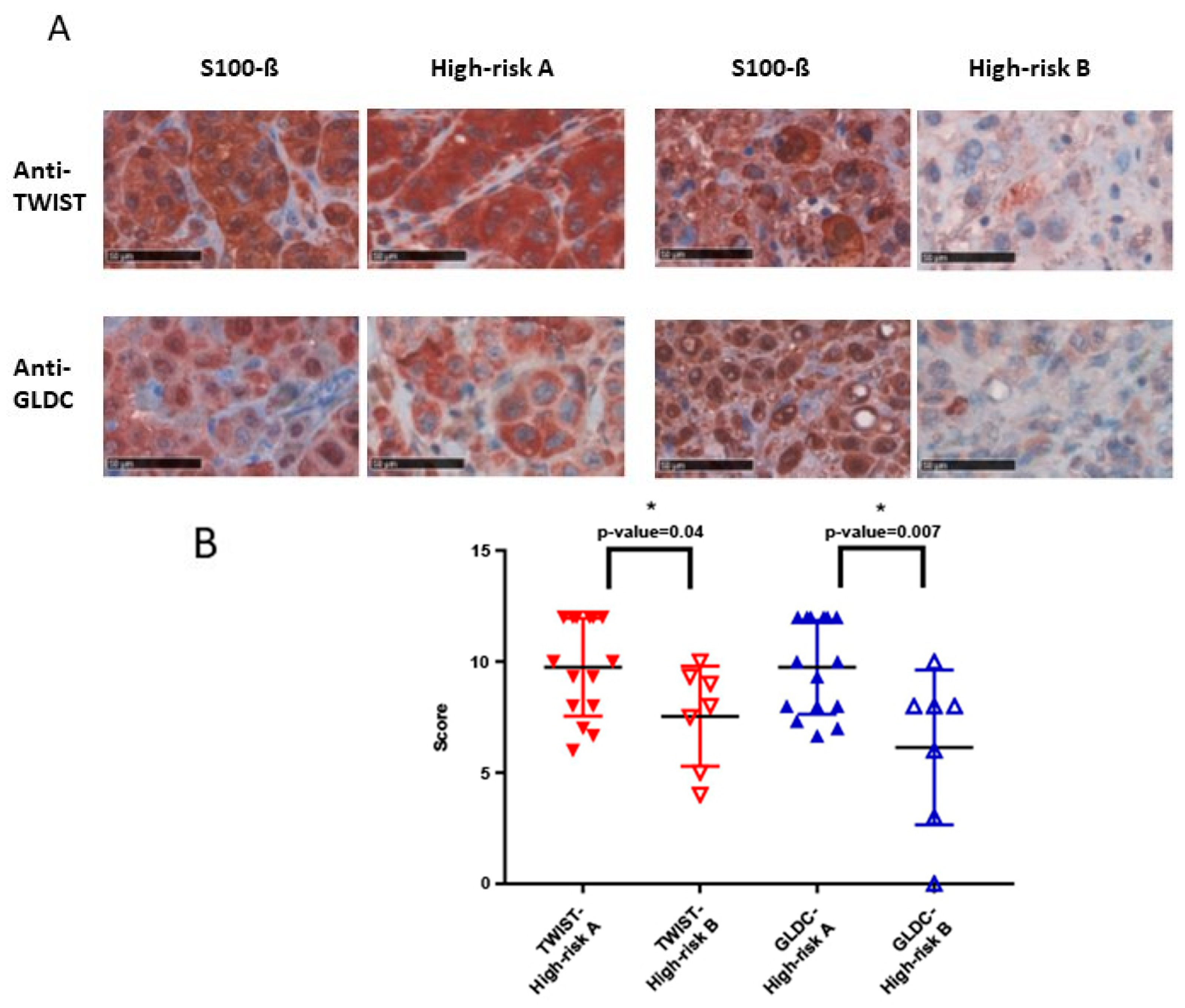 Cancers 11 00076 g003