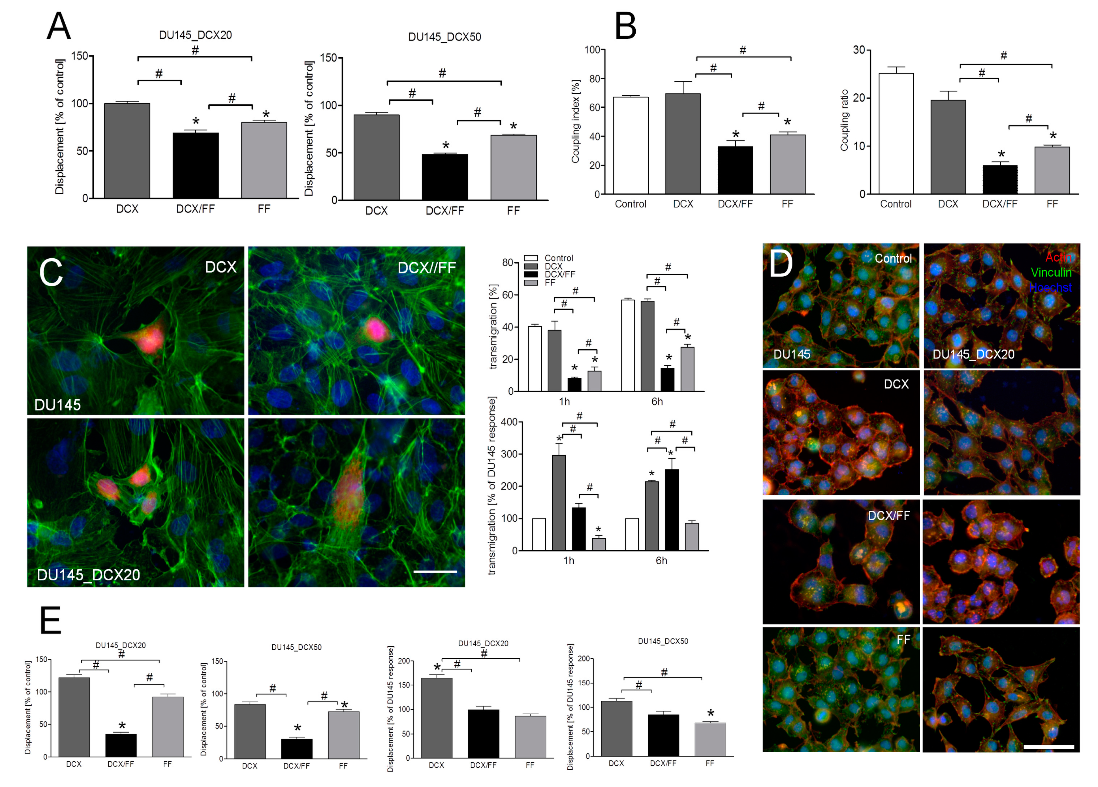 Cancers 11 00077 g003