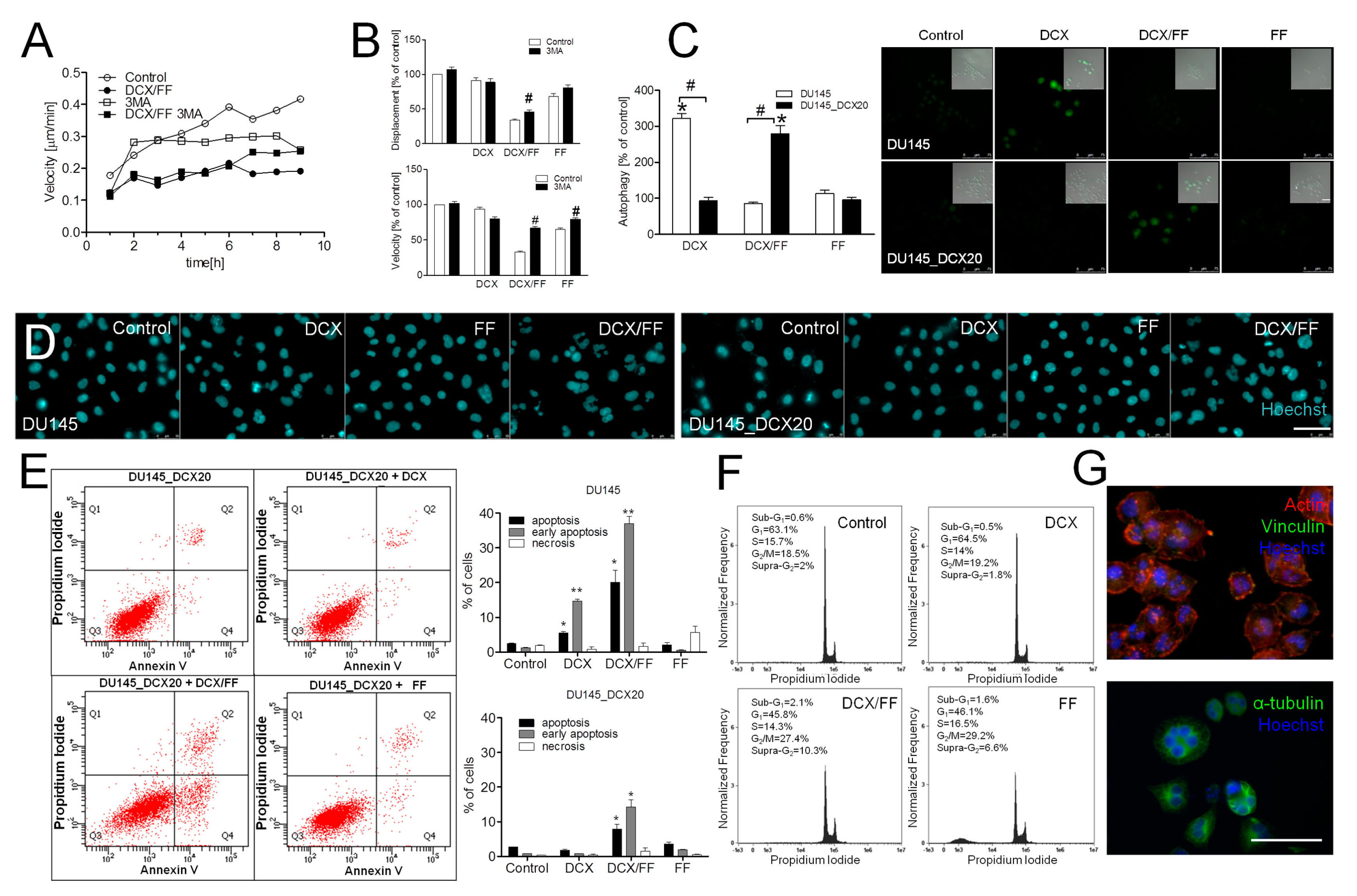 Cancers 11 00077 g005