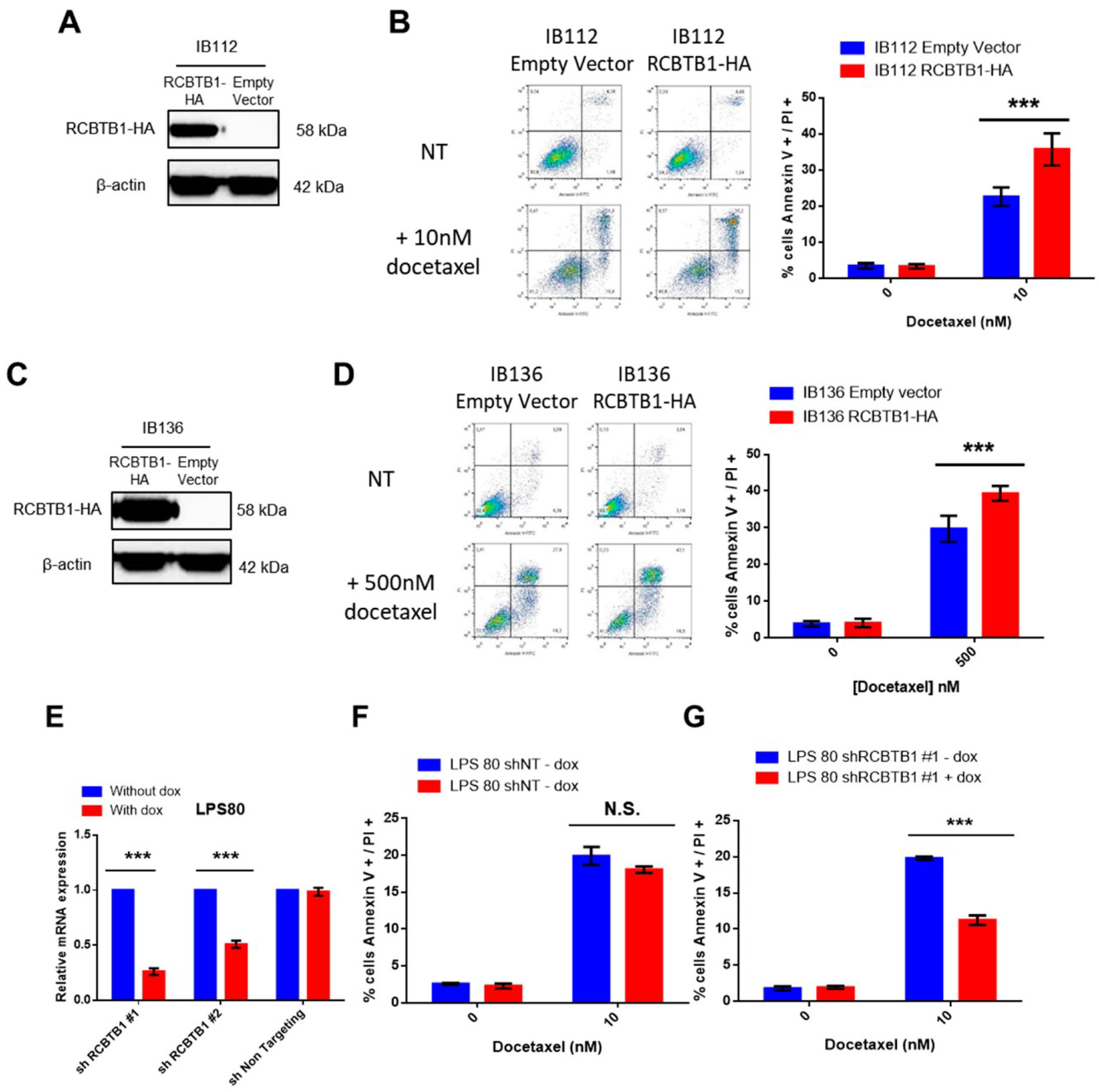 Cancers 11 00081 g003