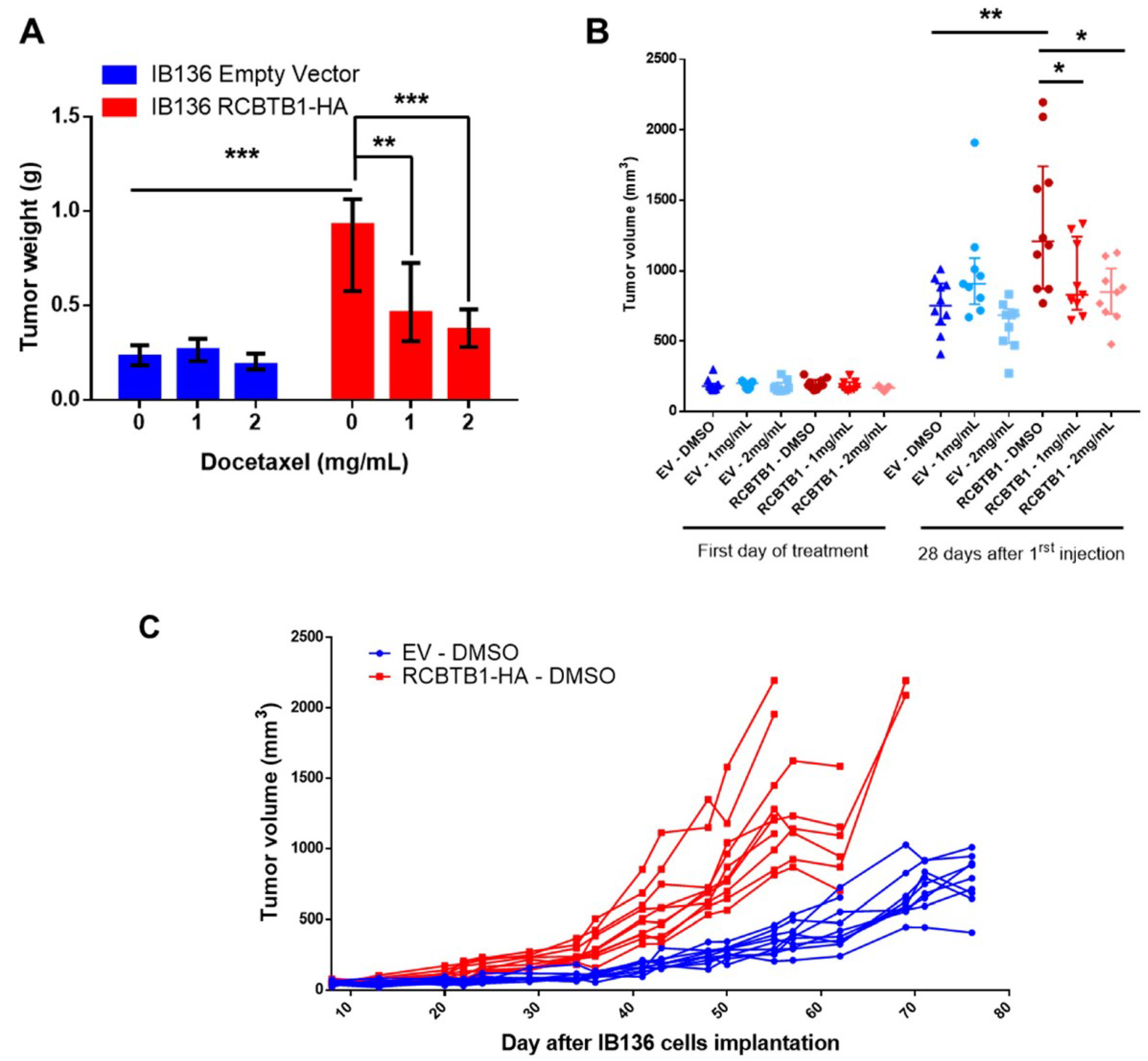 Cancers 11 00081 g004