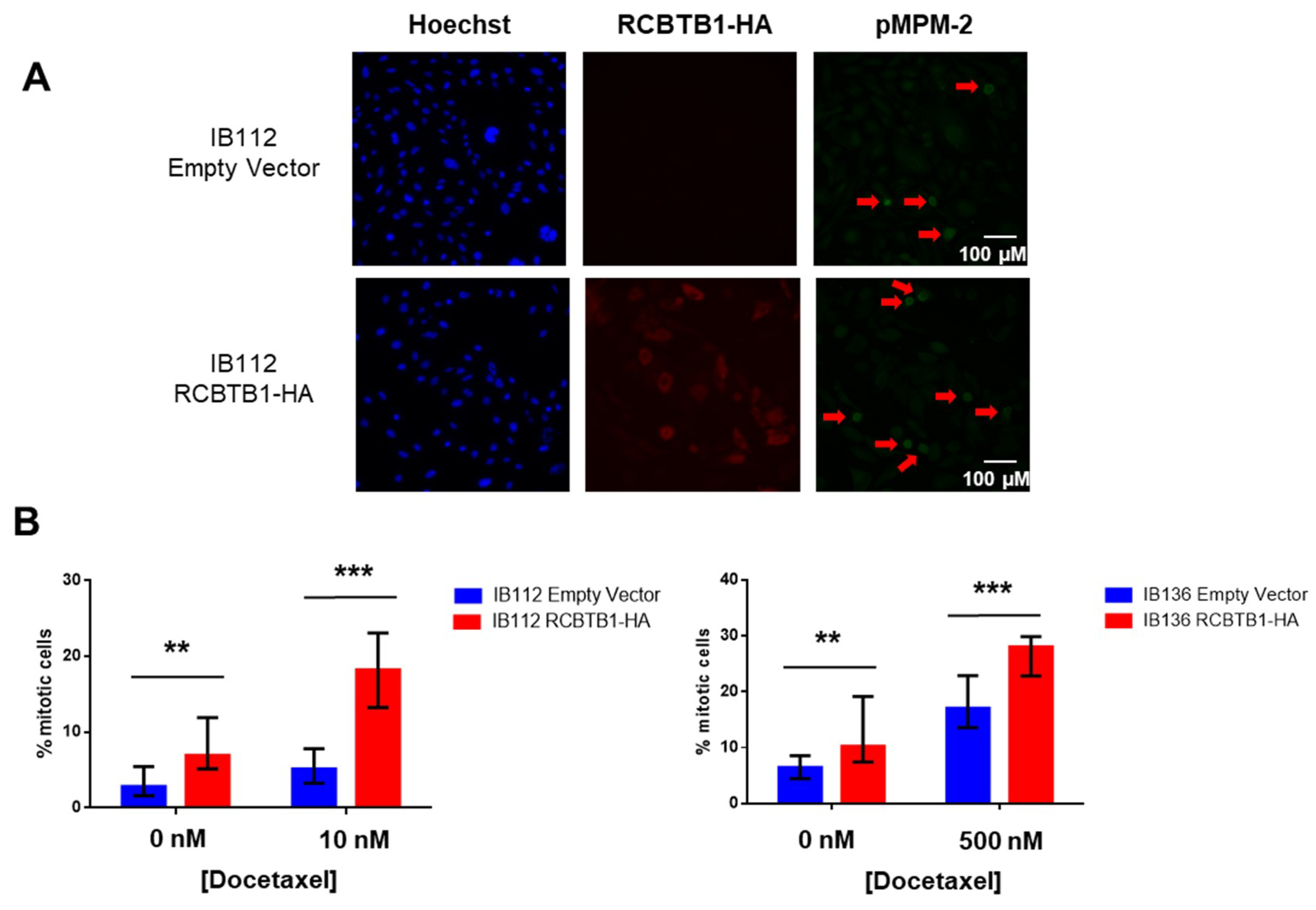 Cancers 11 00081 g005a