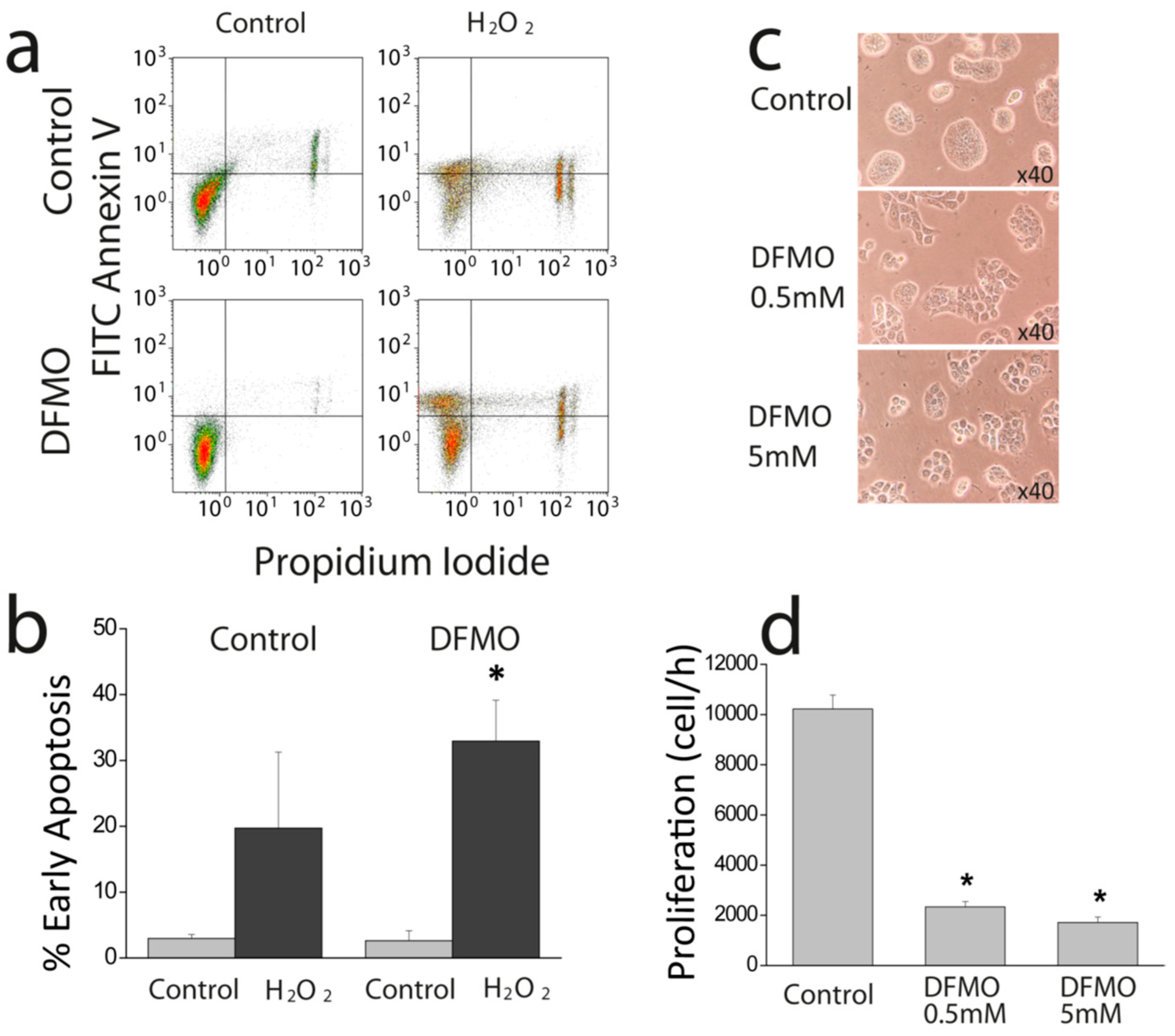 Cancers 11 00083 g002