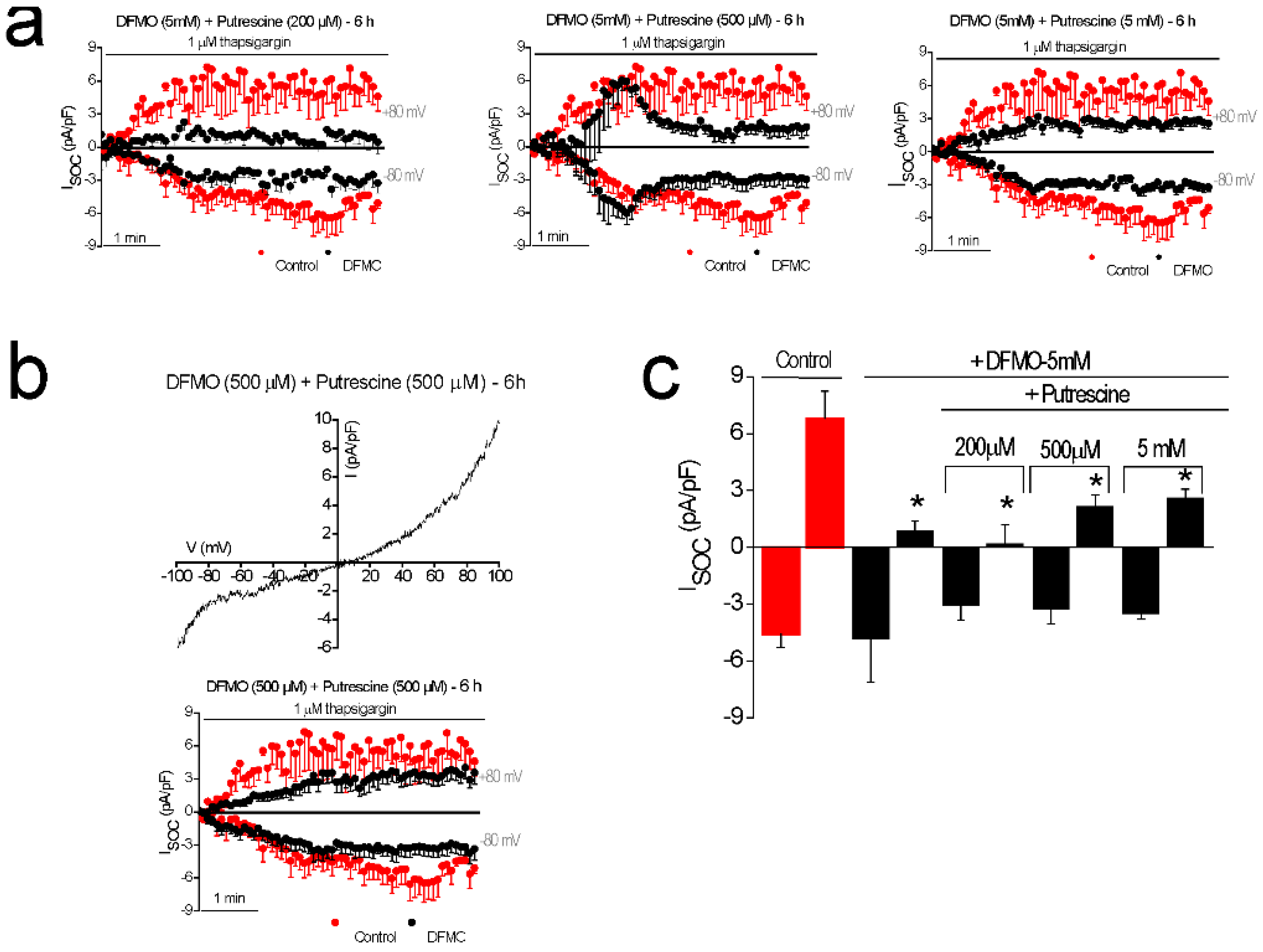Cancers 11 00083 g005
