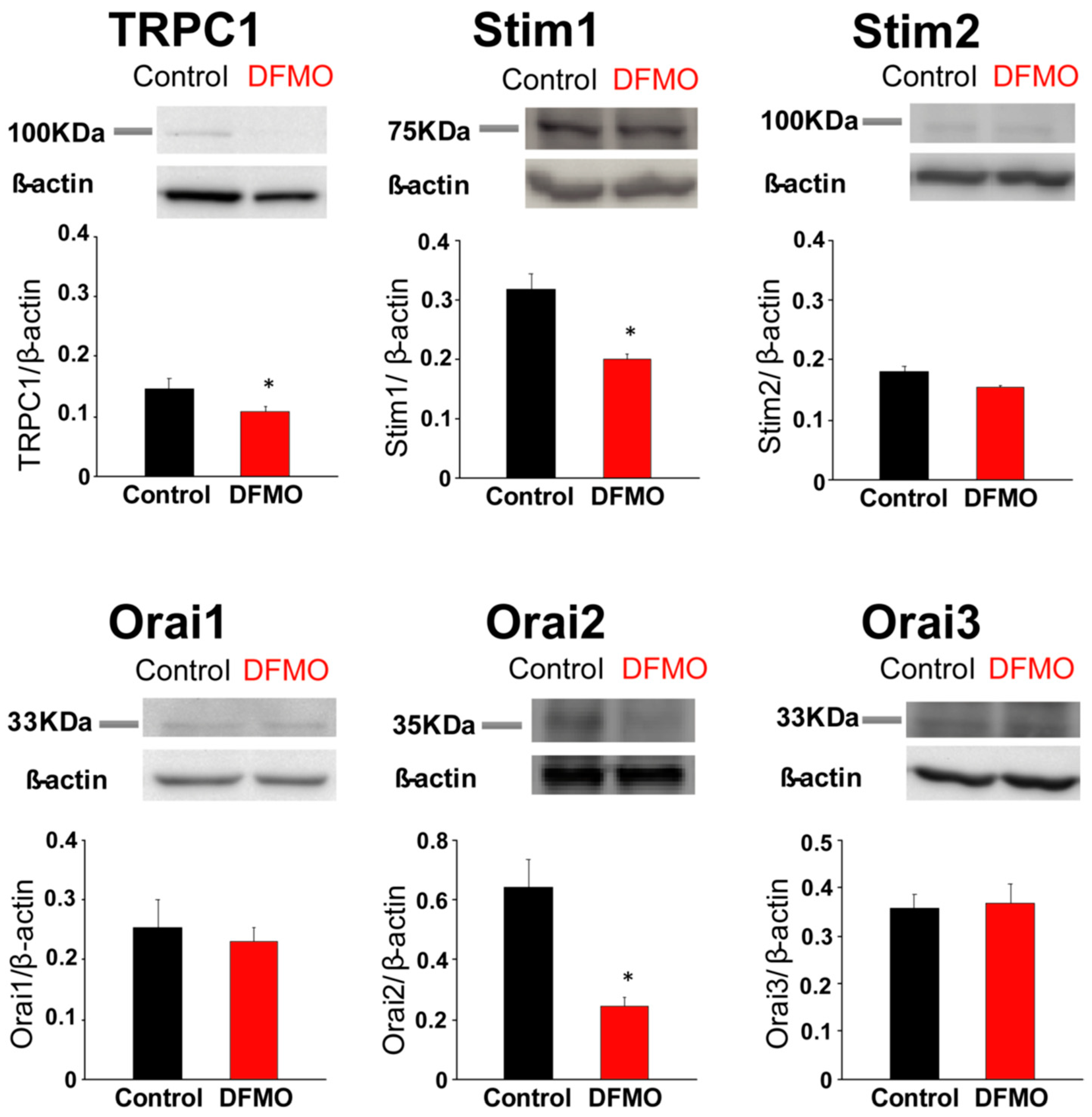 Cancers 11 00083 g007