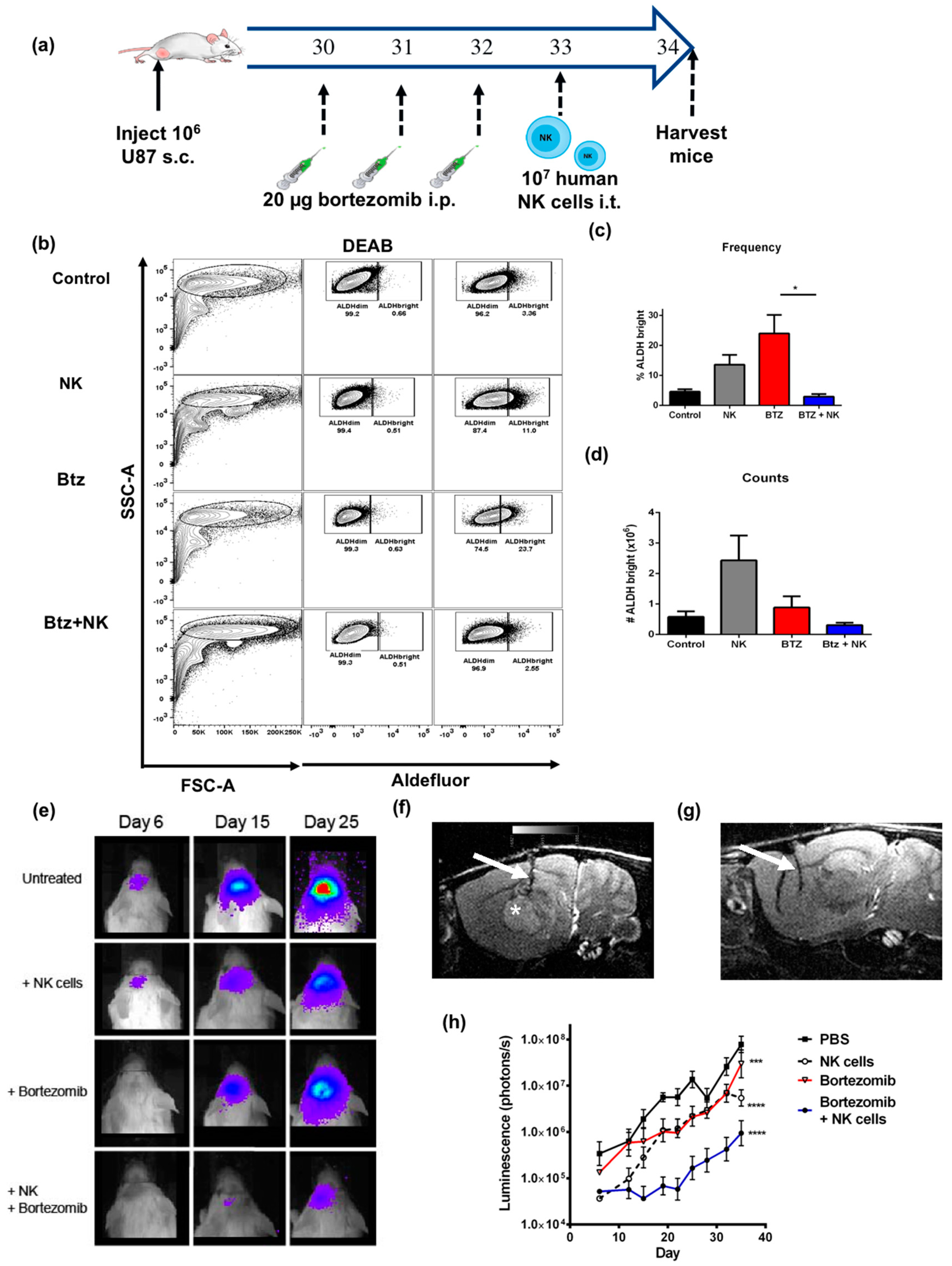 Cancers 11 00085 g006