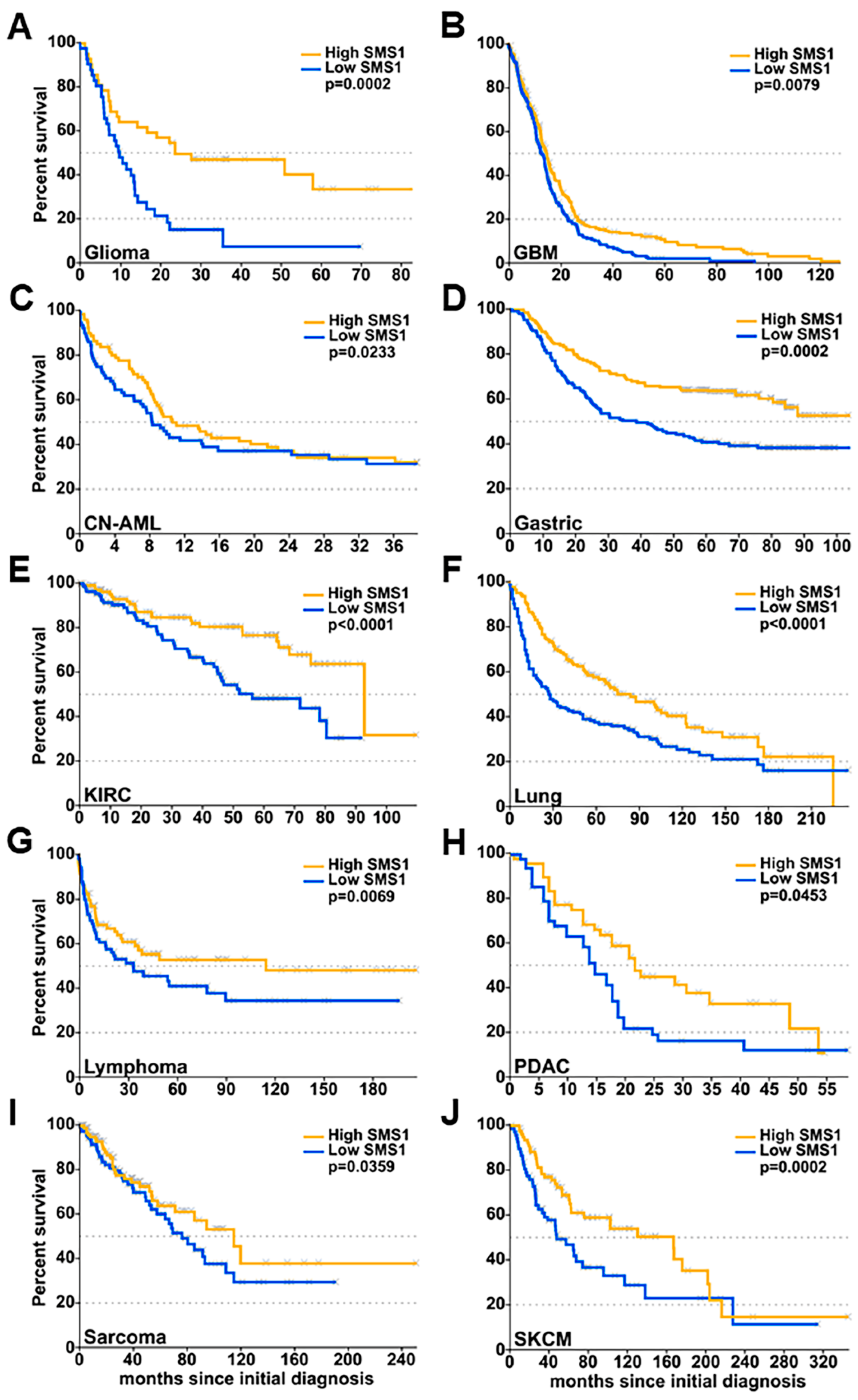 Cancers 11 00088 g002 Cancers 11 00088 g002