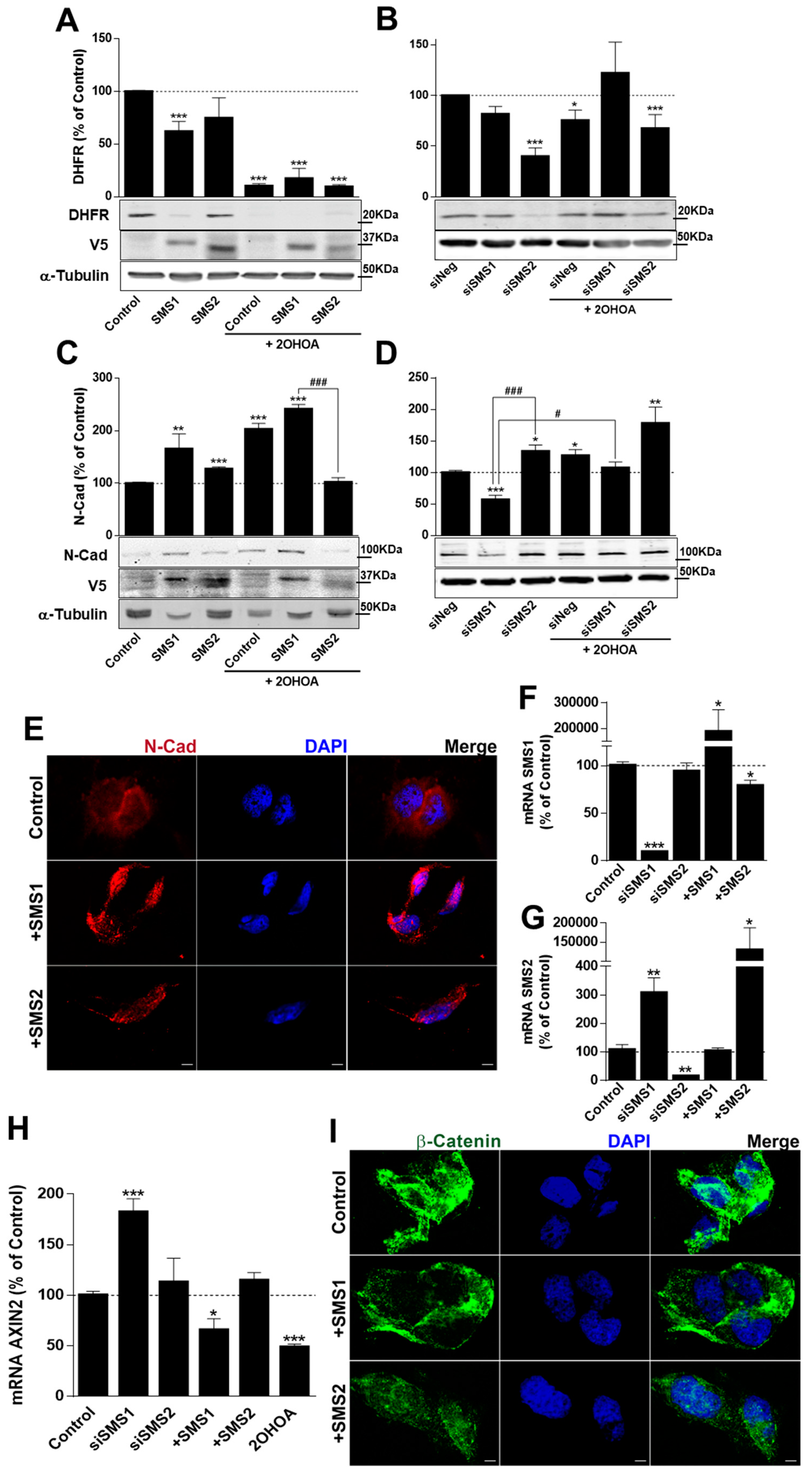 Cancers 11 00088 g005 Cancers 11 00088 g005