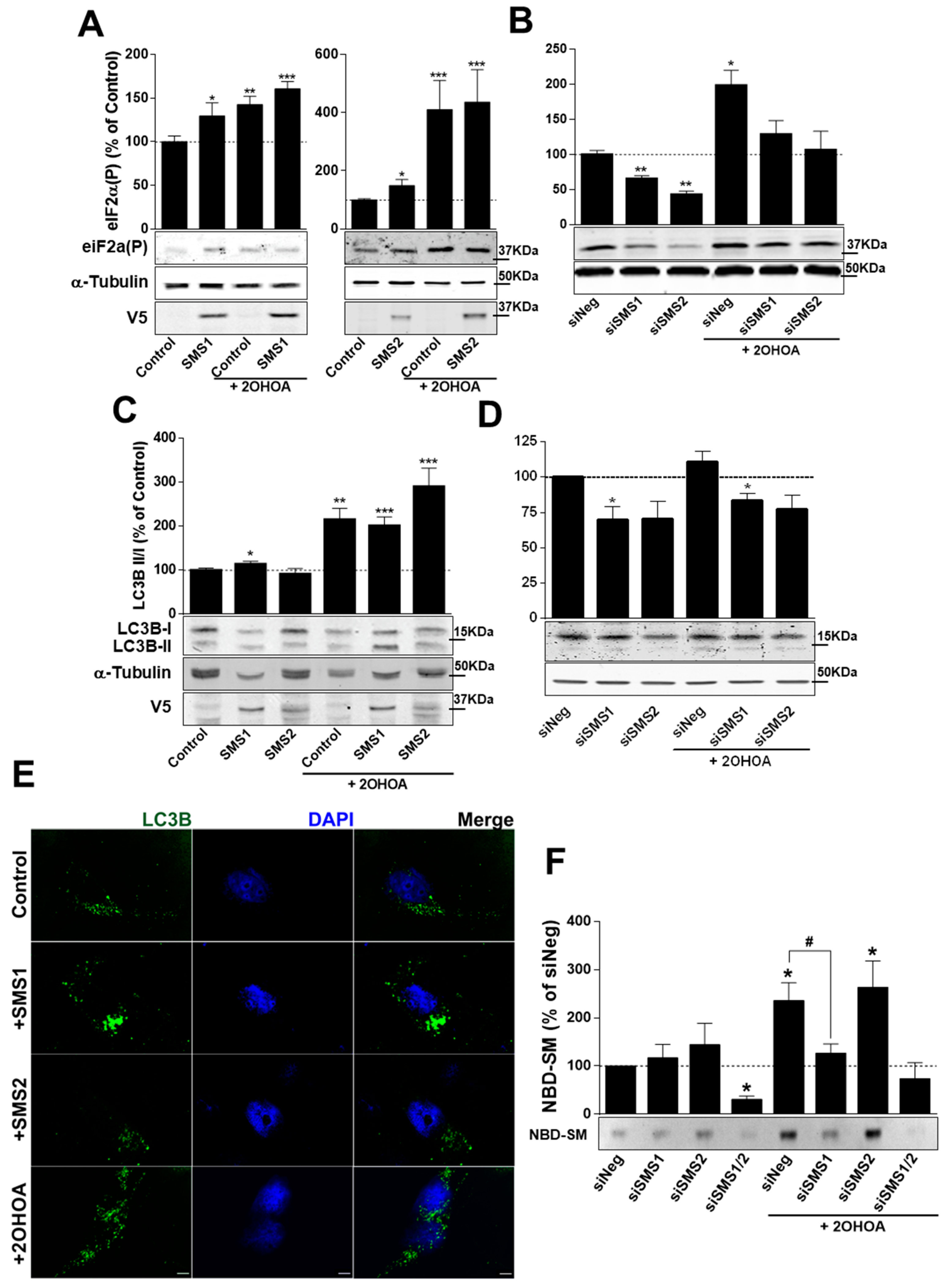 Cancers 11 00088 g006 Cancers 11 00088 g006