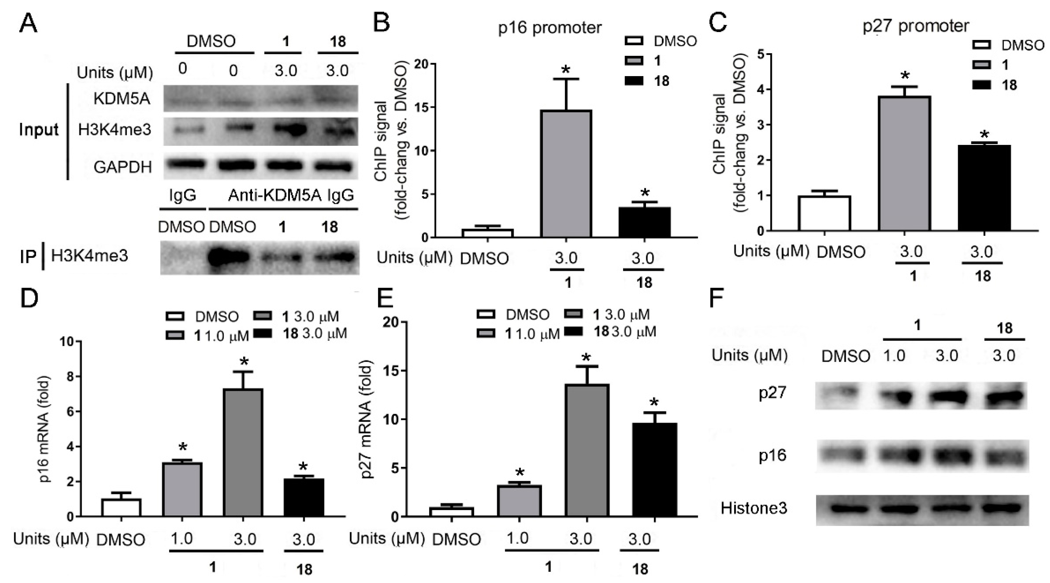 Cancers 11 00092 g005 Cancers 11 00092 g005
