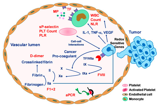 cancer colon vih polipi de condilom al anusului