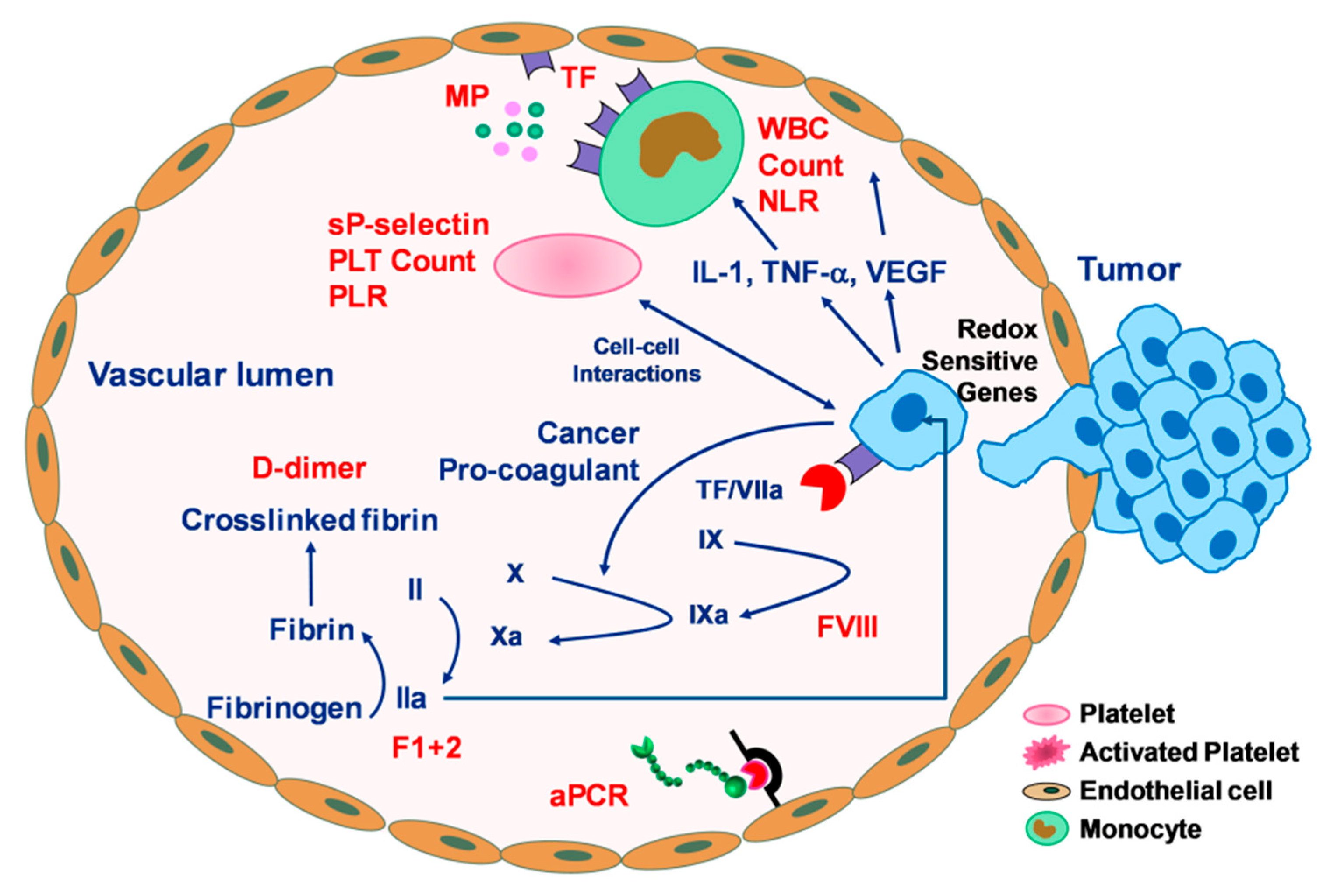 Cancers 11 00095 g001