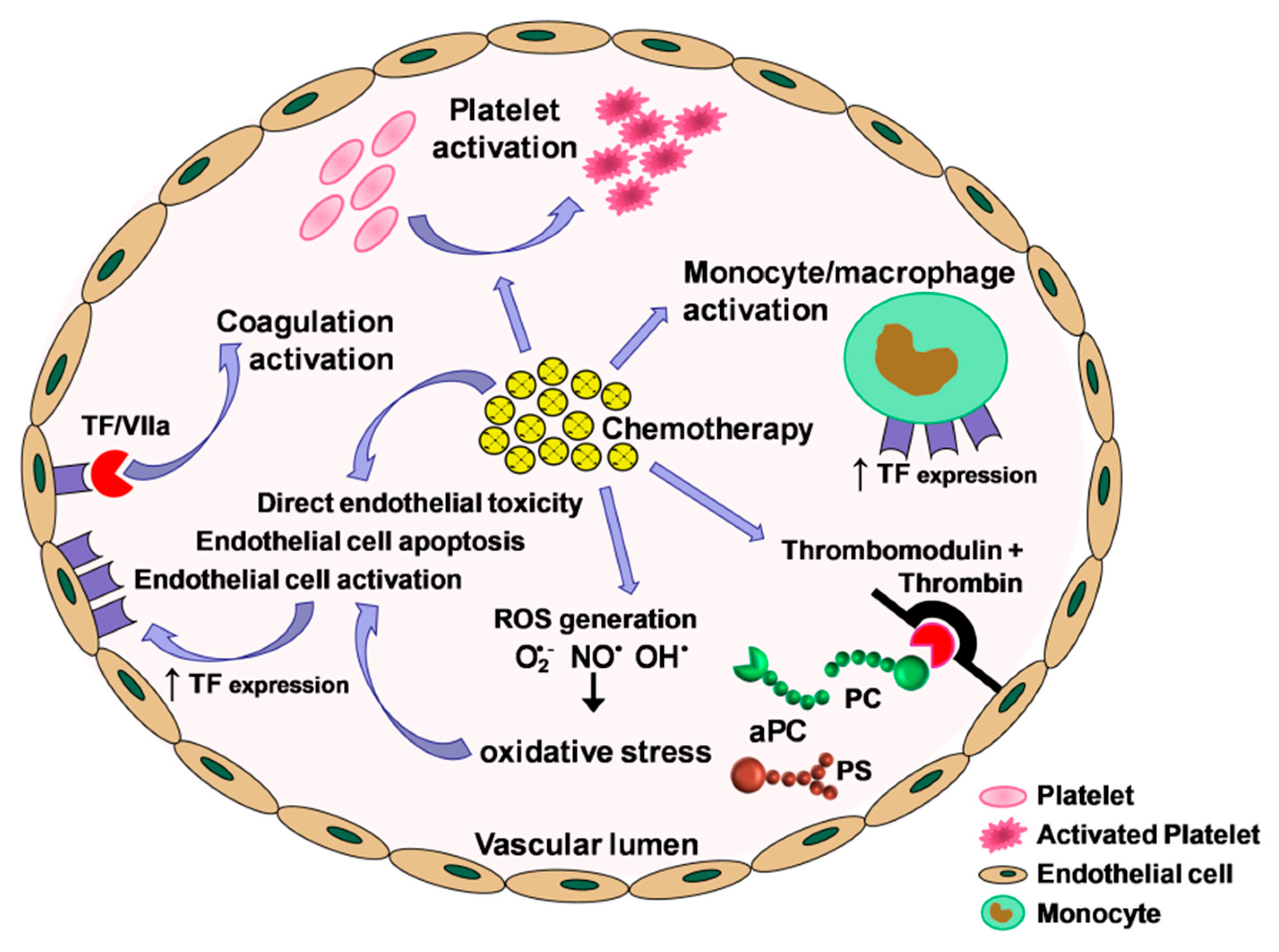 Cancers 11 00095 g002