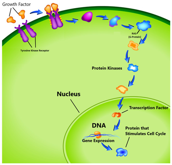 Genetic Mutations in Brain Tumors Could Turn Out Useful - Neuroscience News