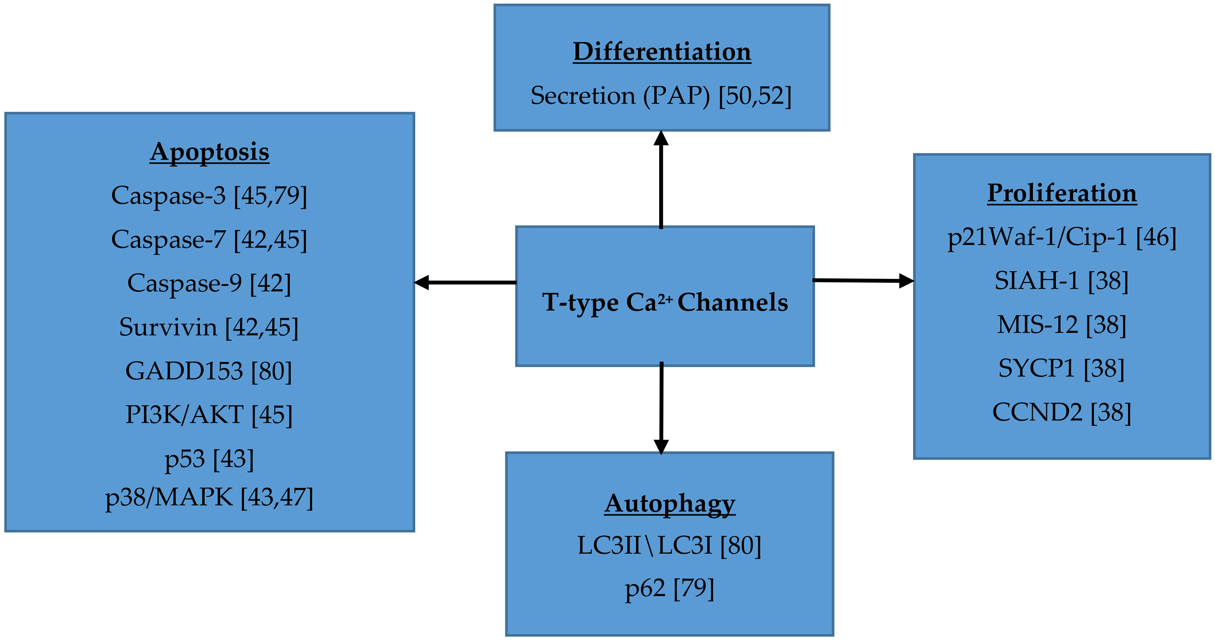 Cancers 11 00134 g001 Cancers 11 00134 g001