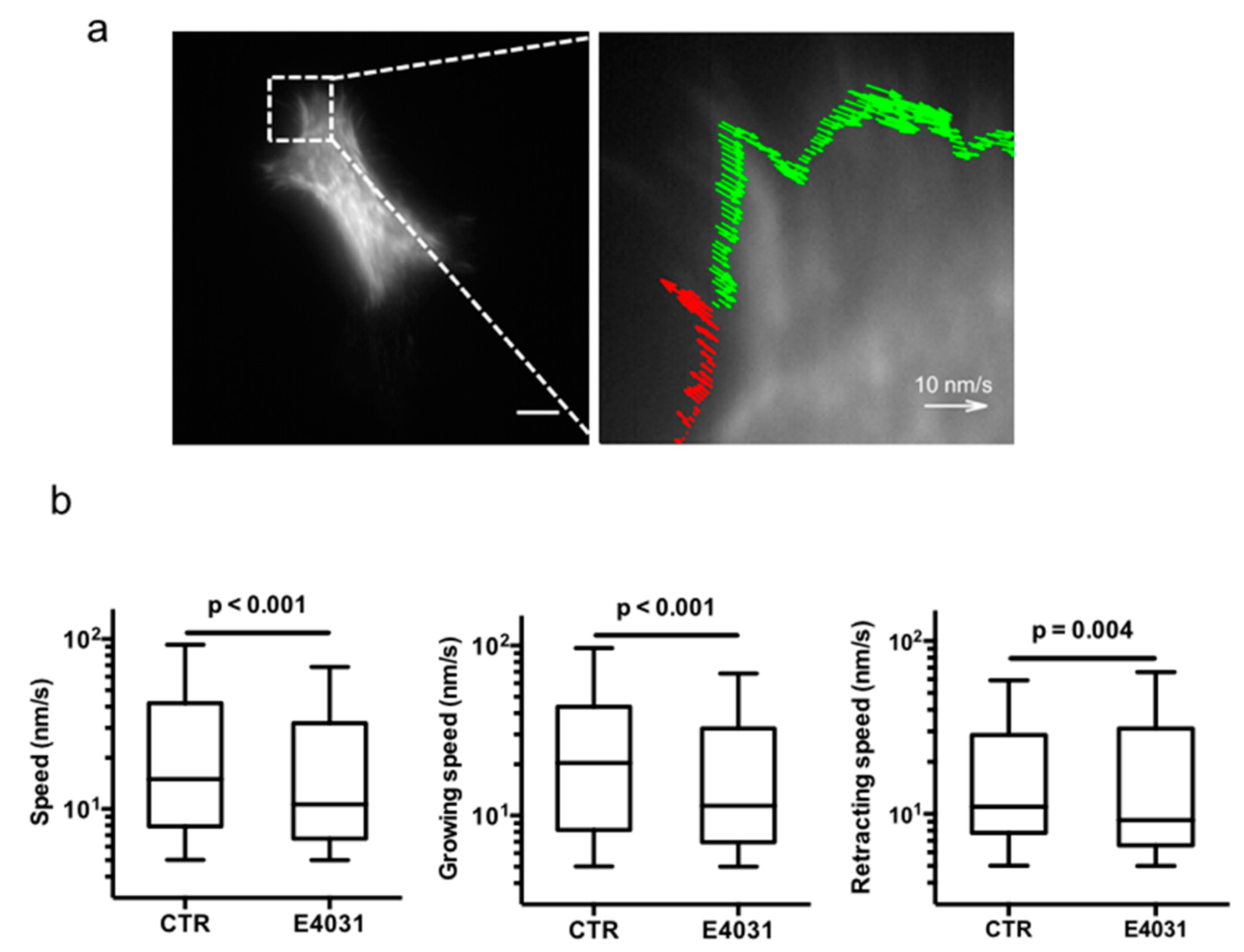 Cancers 11 00135 g006
