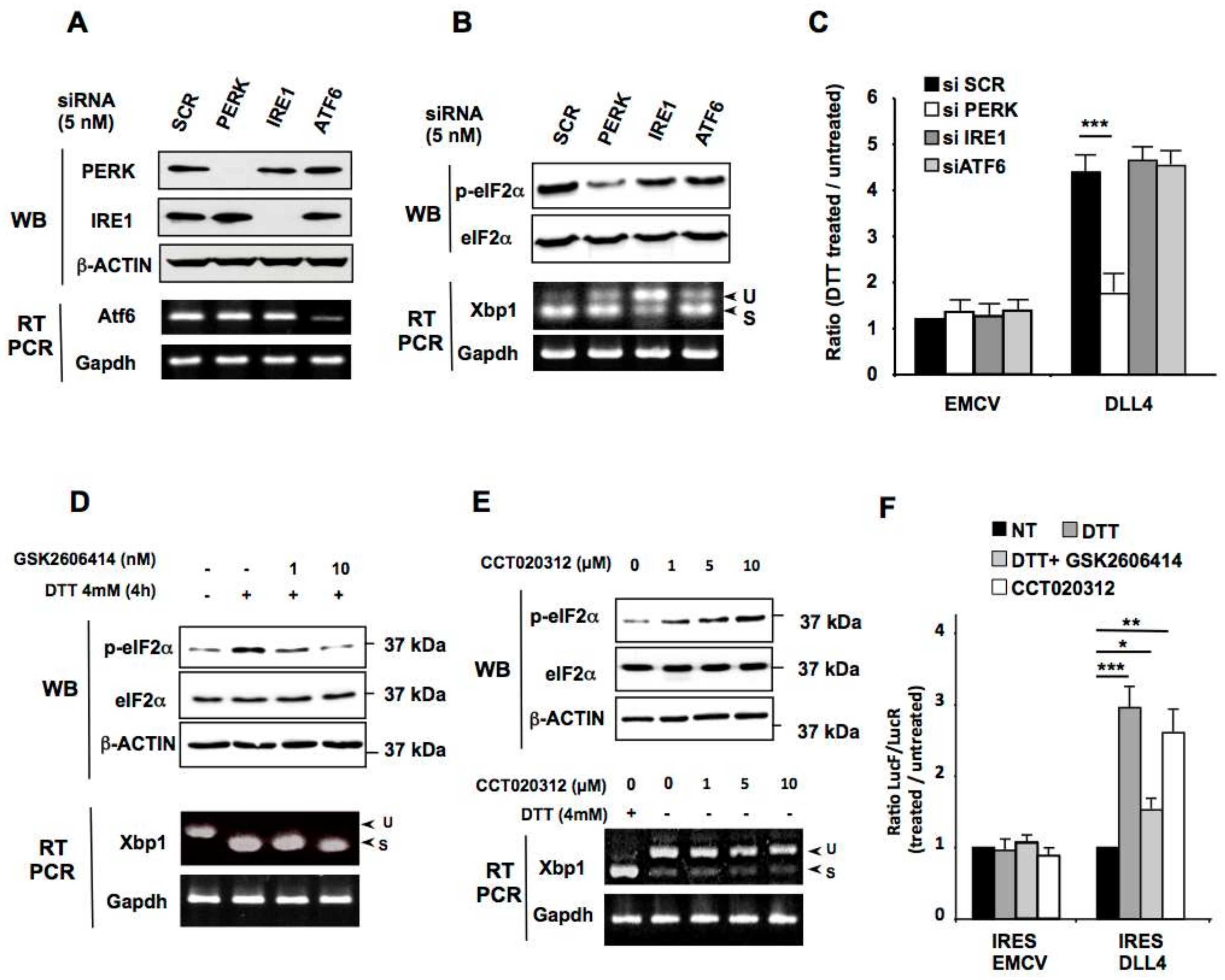 Cancers 11 00142 g004 Cancers 11 00142 g004