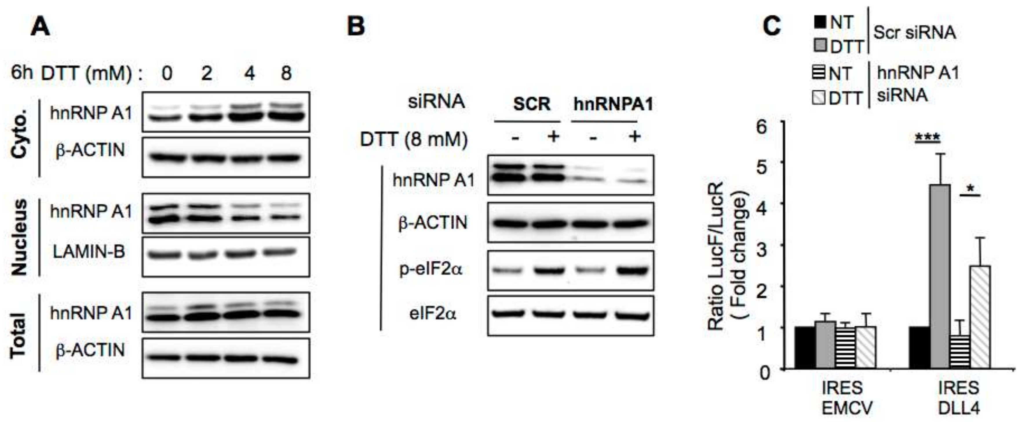 Cancers 11 00142 g006 Cancers 11 00142 g006