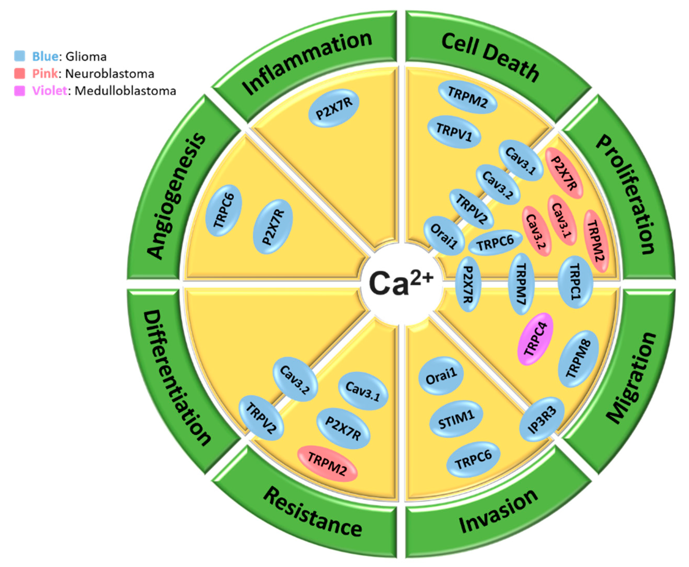 Cancers 11 00145 g002 Cancers 11 00145 g002