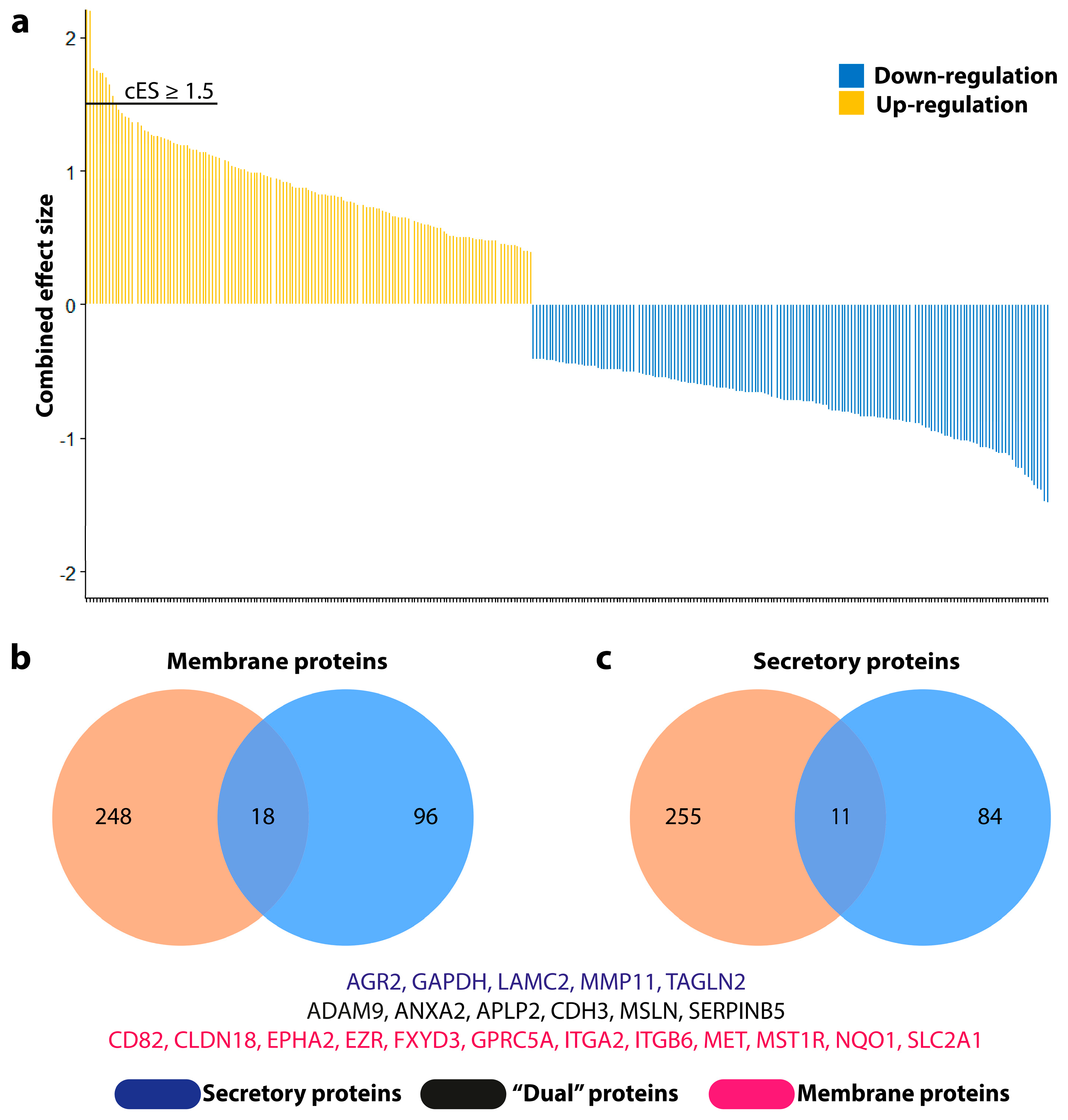 Cancers 11 00155 g001