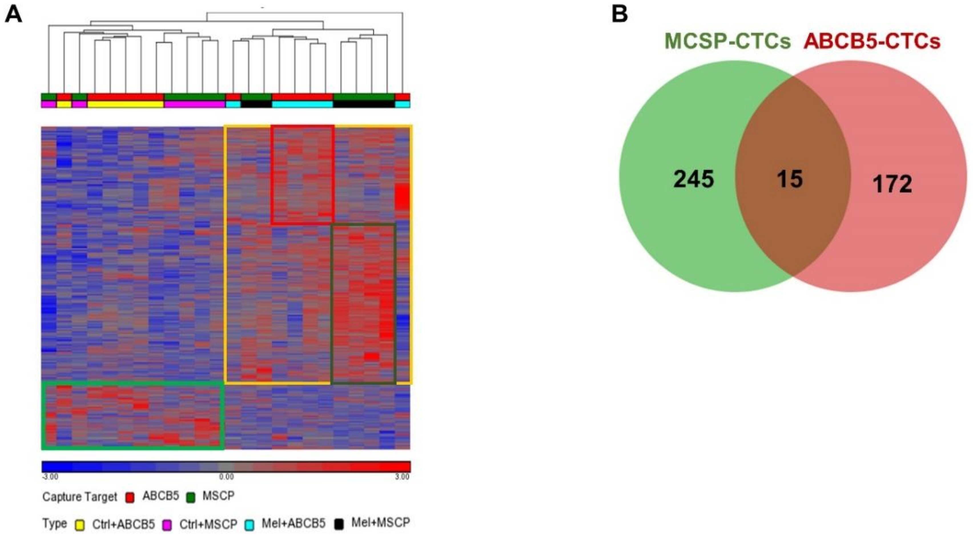 Cancers 11 00157 g002 Cancers 11 00157 g002