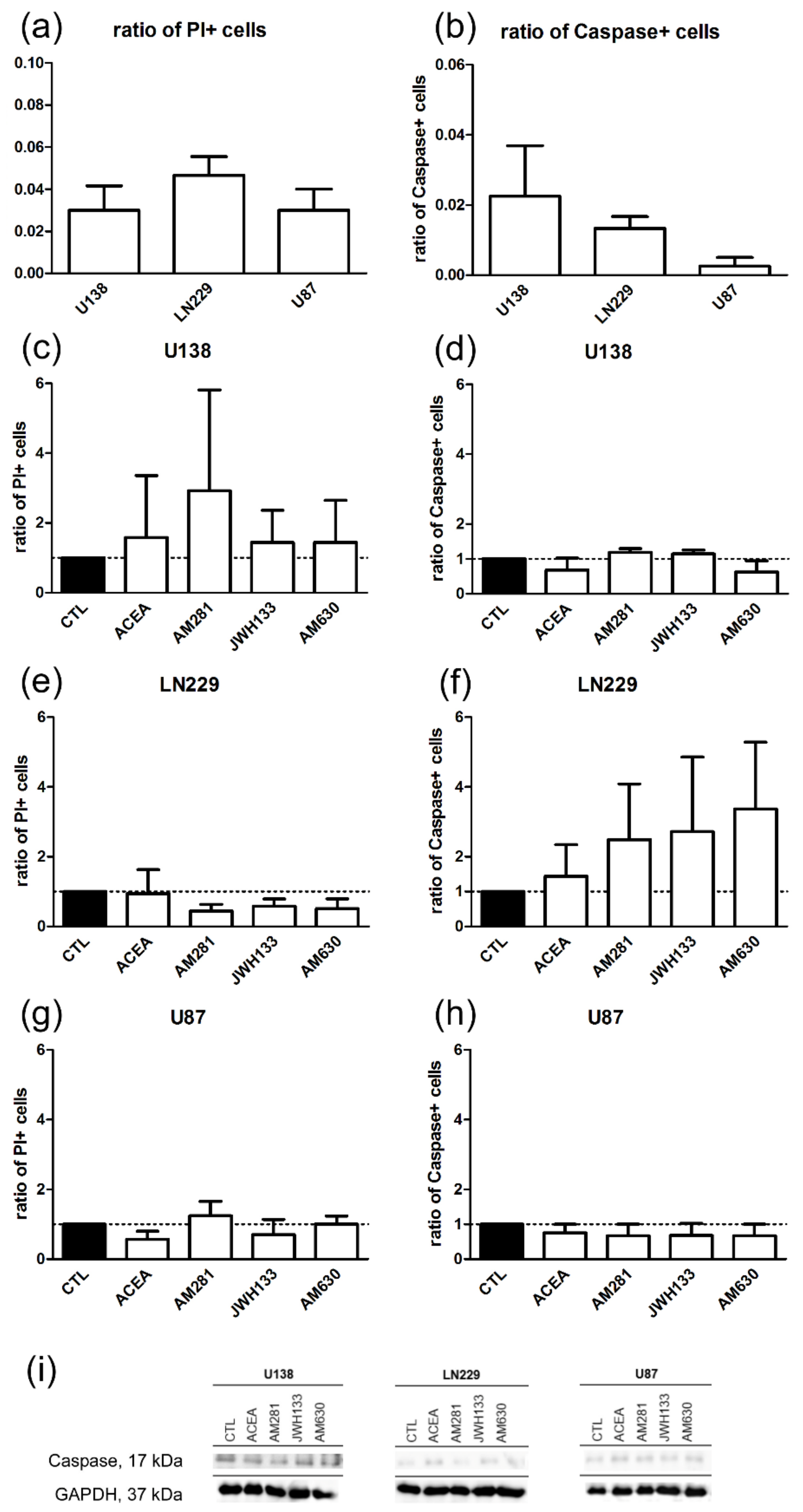 Cancers 11 00161 g003 Cancers 11 00161 g003