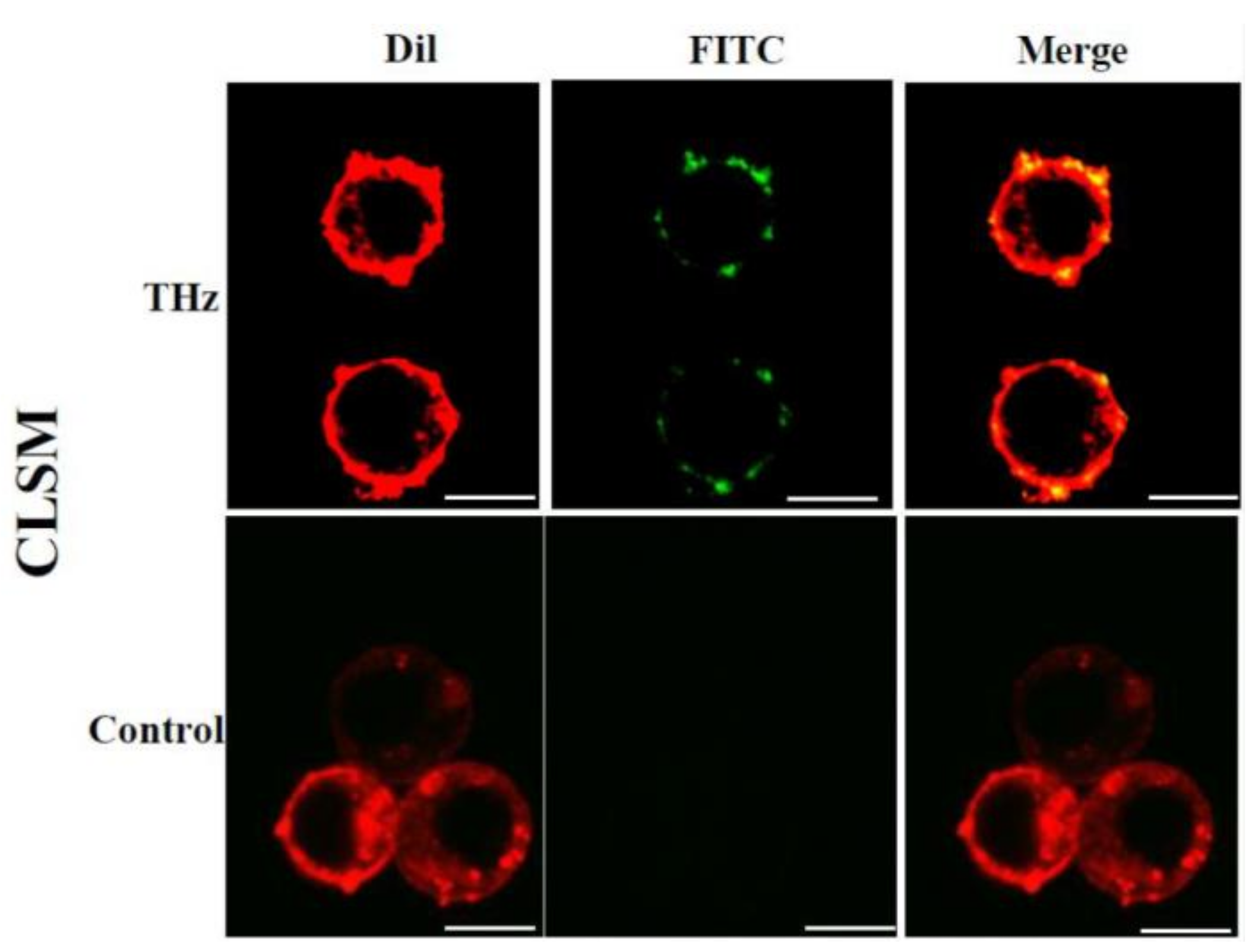 Cancers 11 00162 g001a