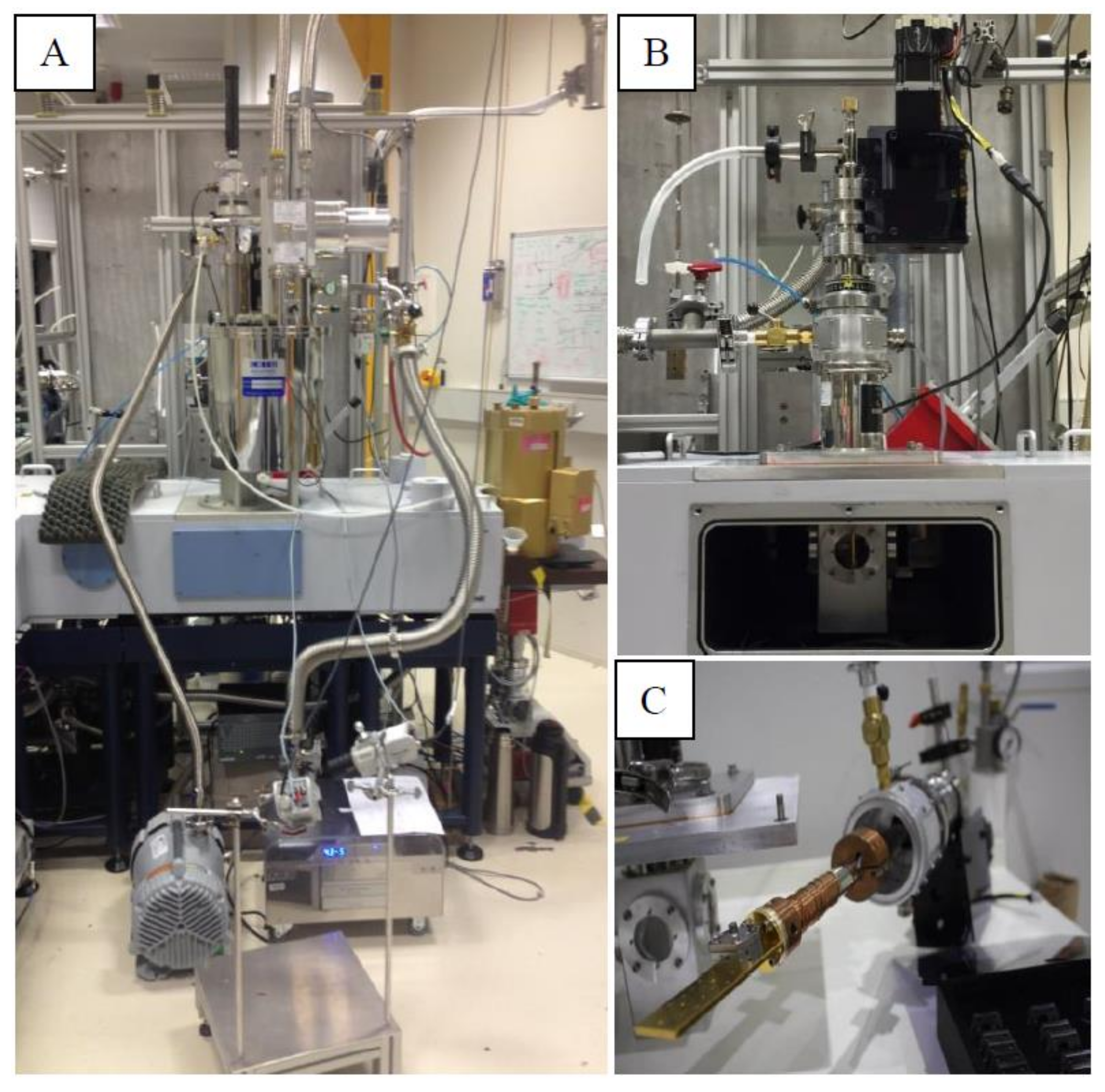 Cancers 11 00162 g008