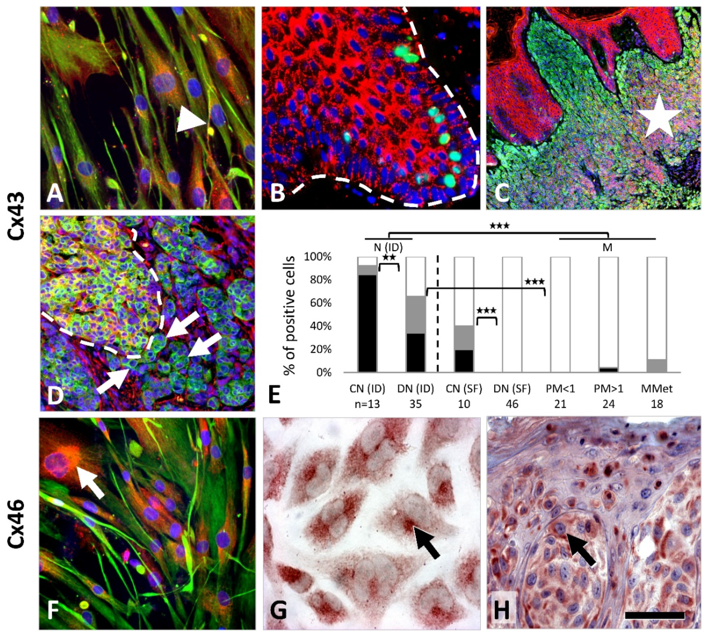 Cancers 11 00165 g002