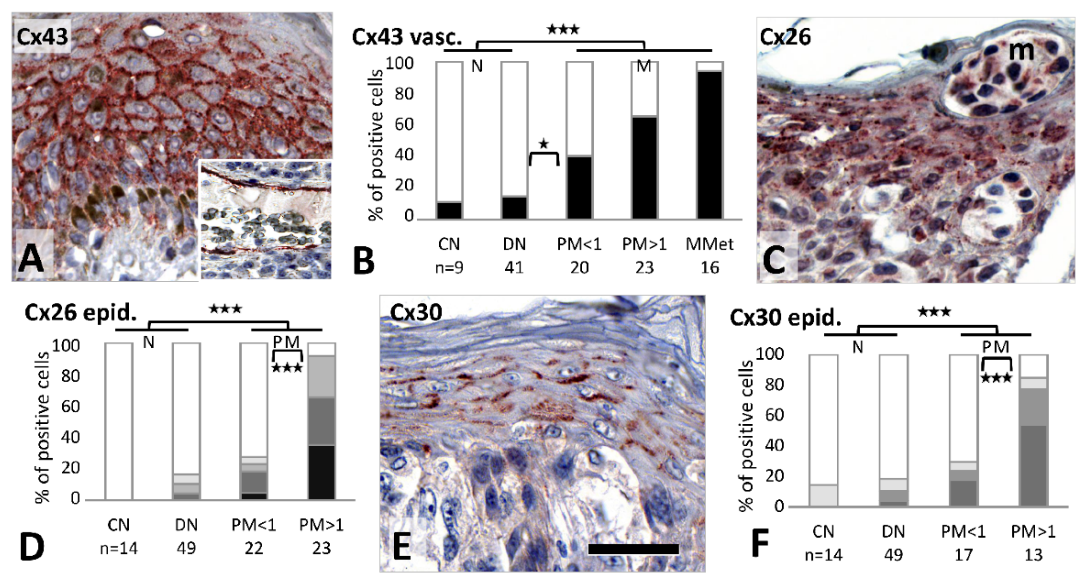Cancers 11 00165 g005
