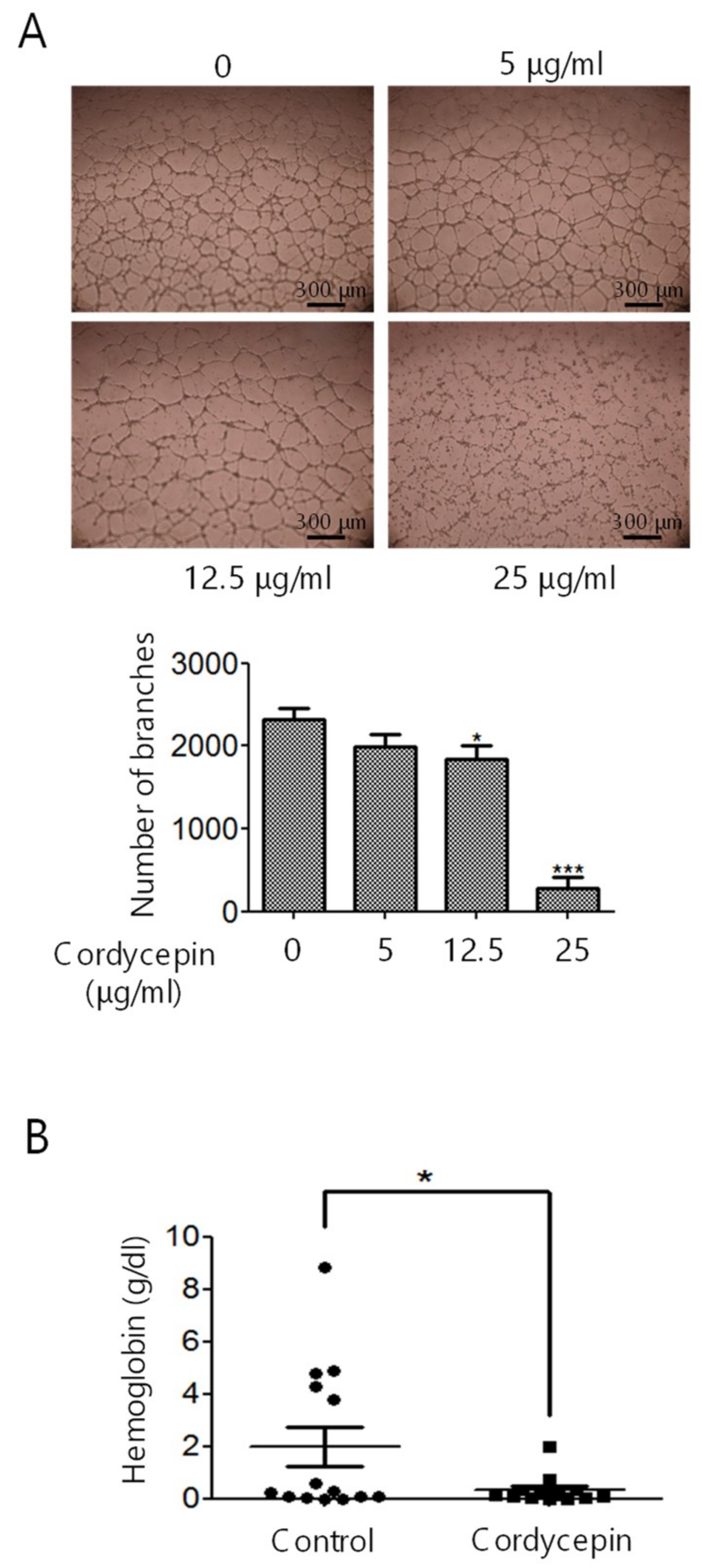 Cancers 11 00168 g003 550