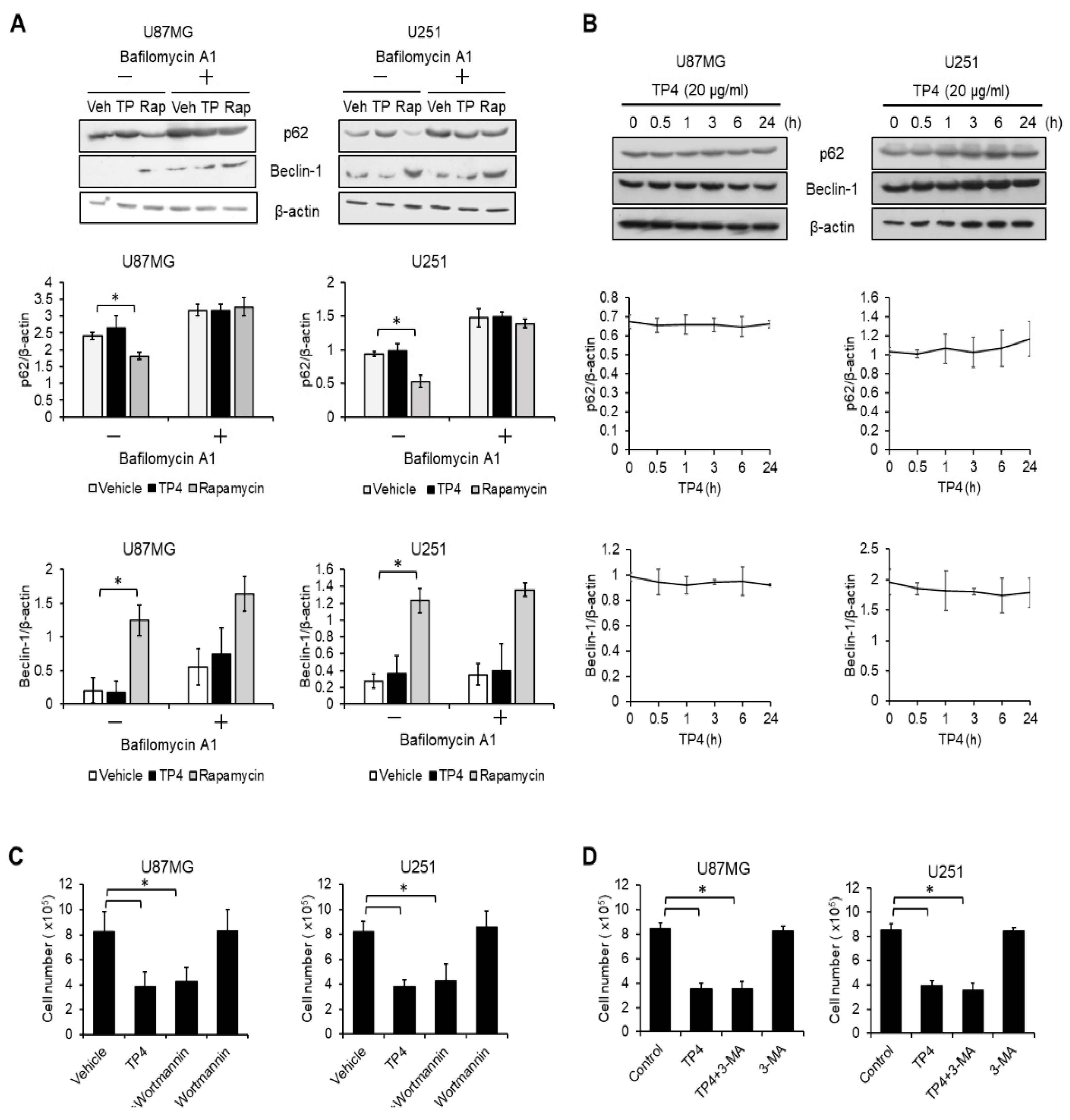 Cancers 11 00171 g002 550