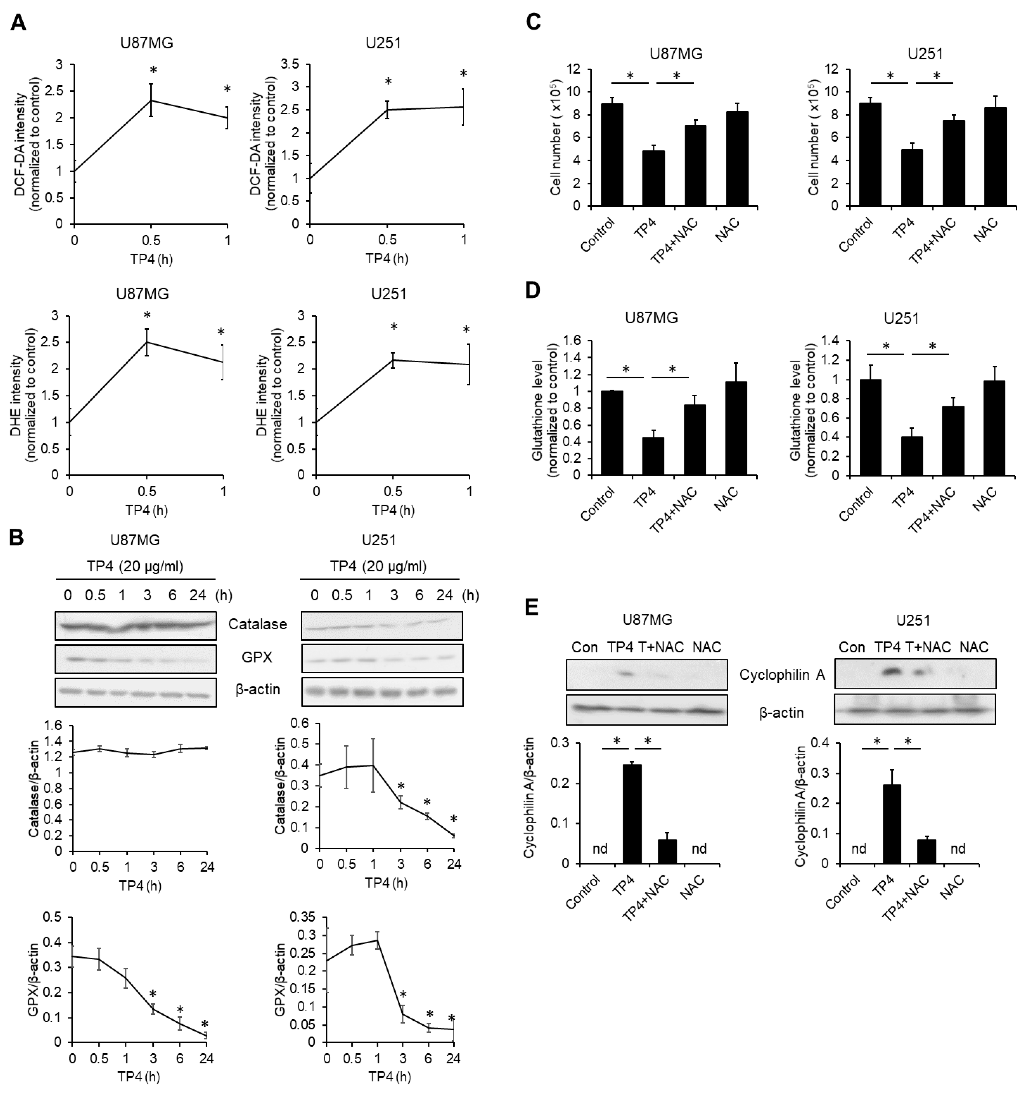 Cancers 11 00171 g004 550