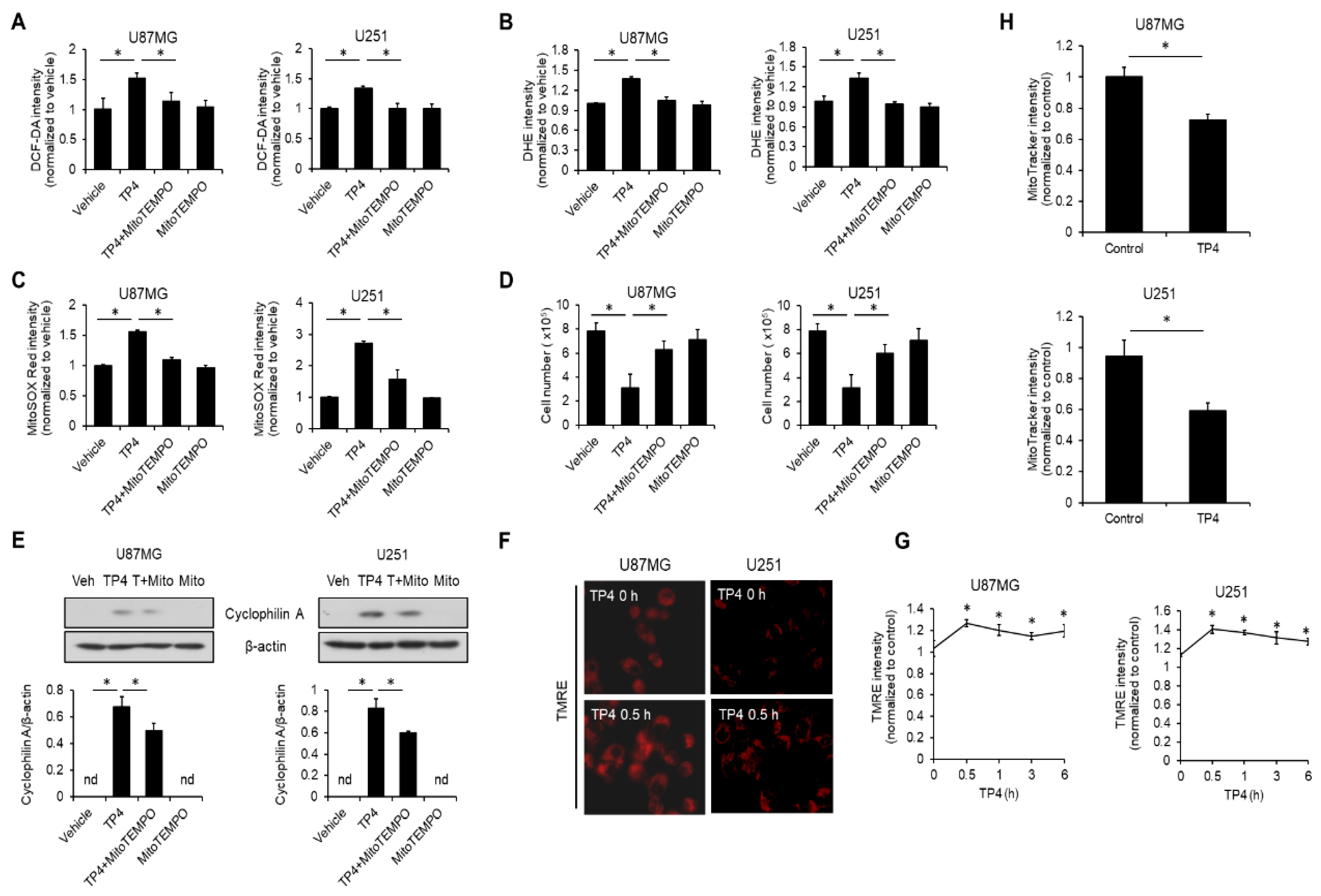 Cancers 11 00171 g005 550