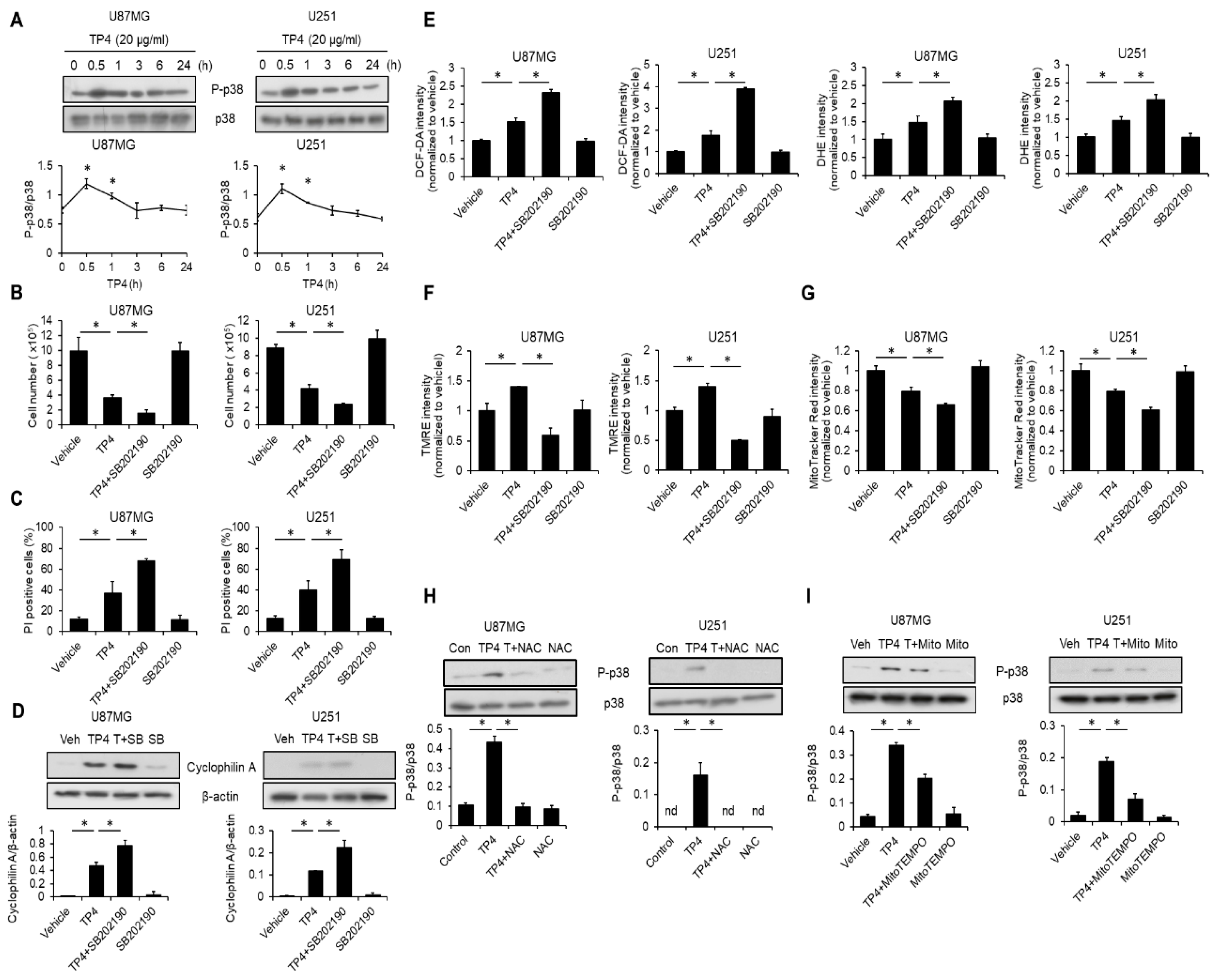 Cancers 11 00171 g006 550