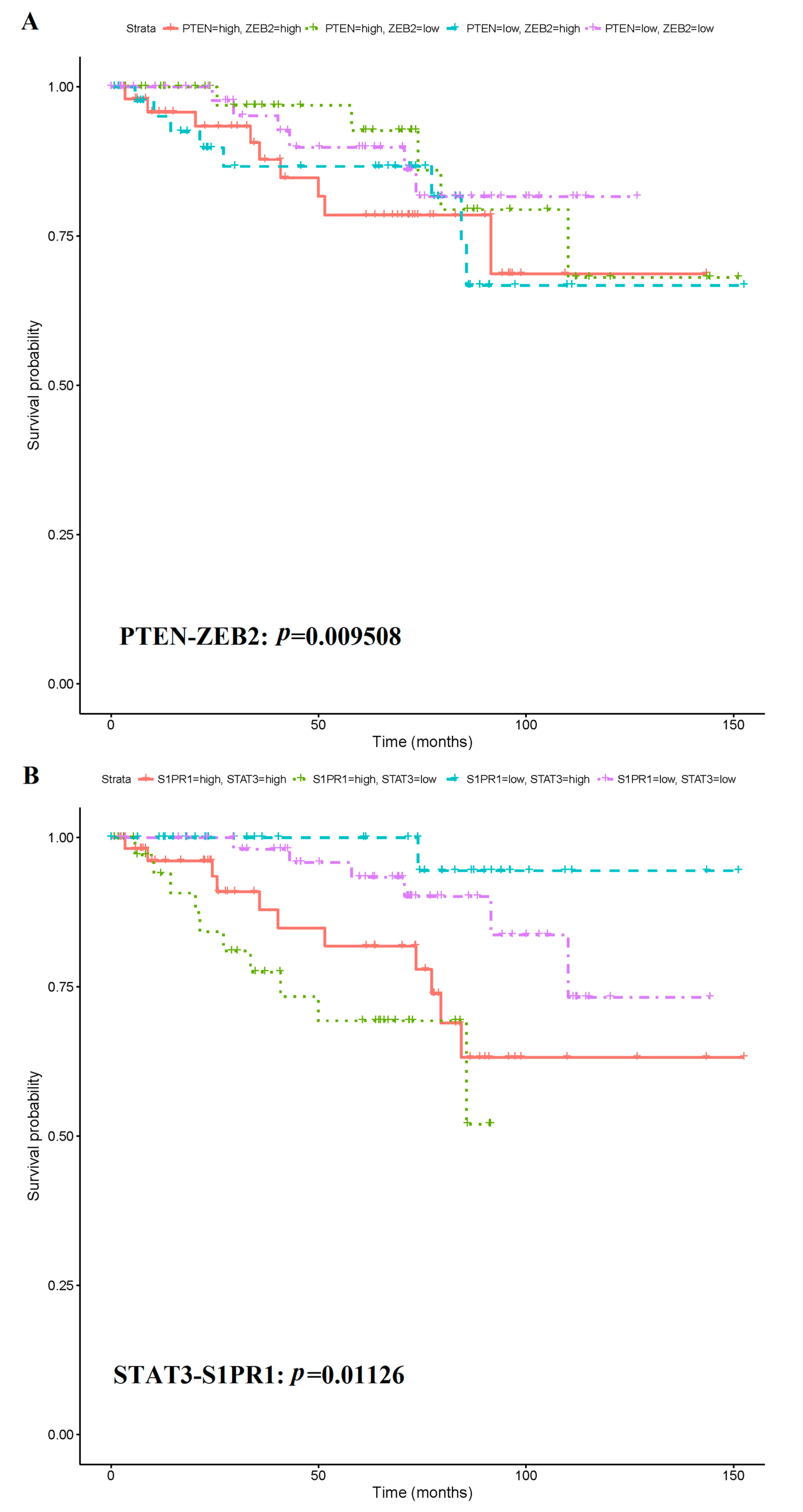 Cancers 11 00172 g008a