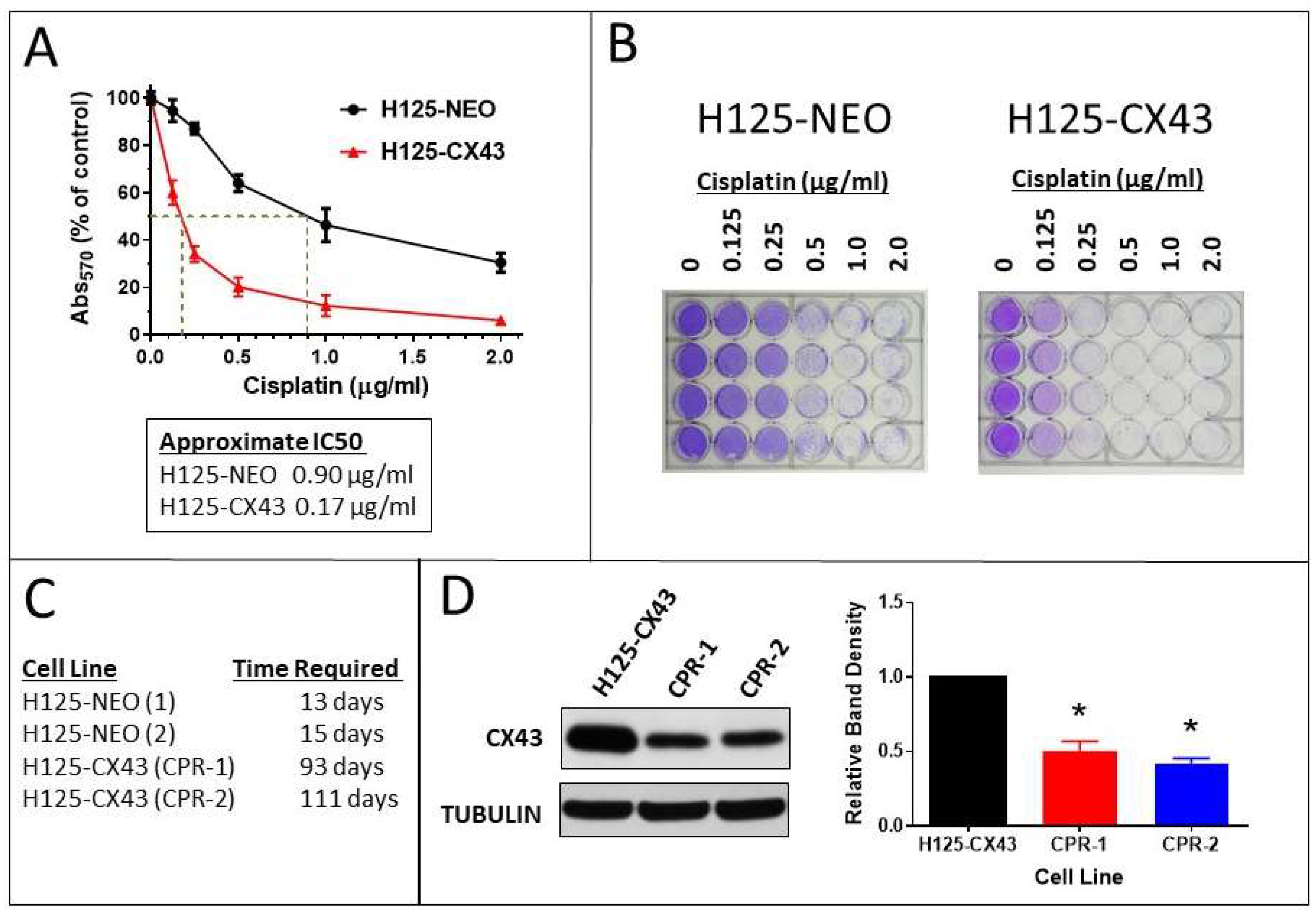 Cancers 11 00175 g005 Cancers 11 00175 g005
