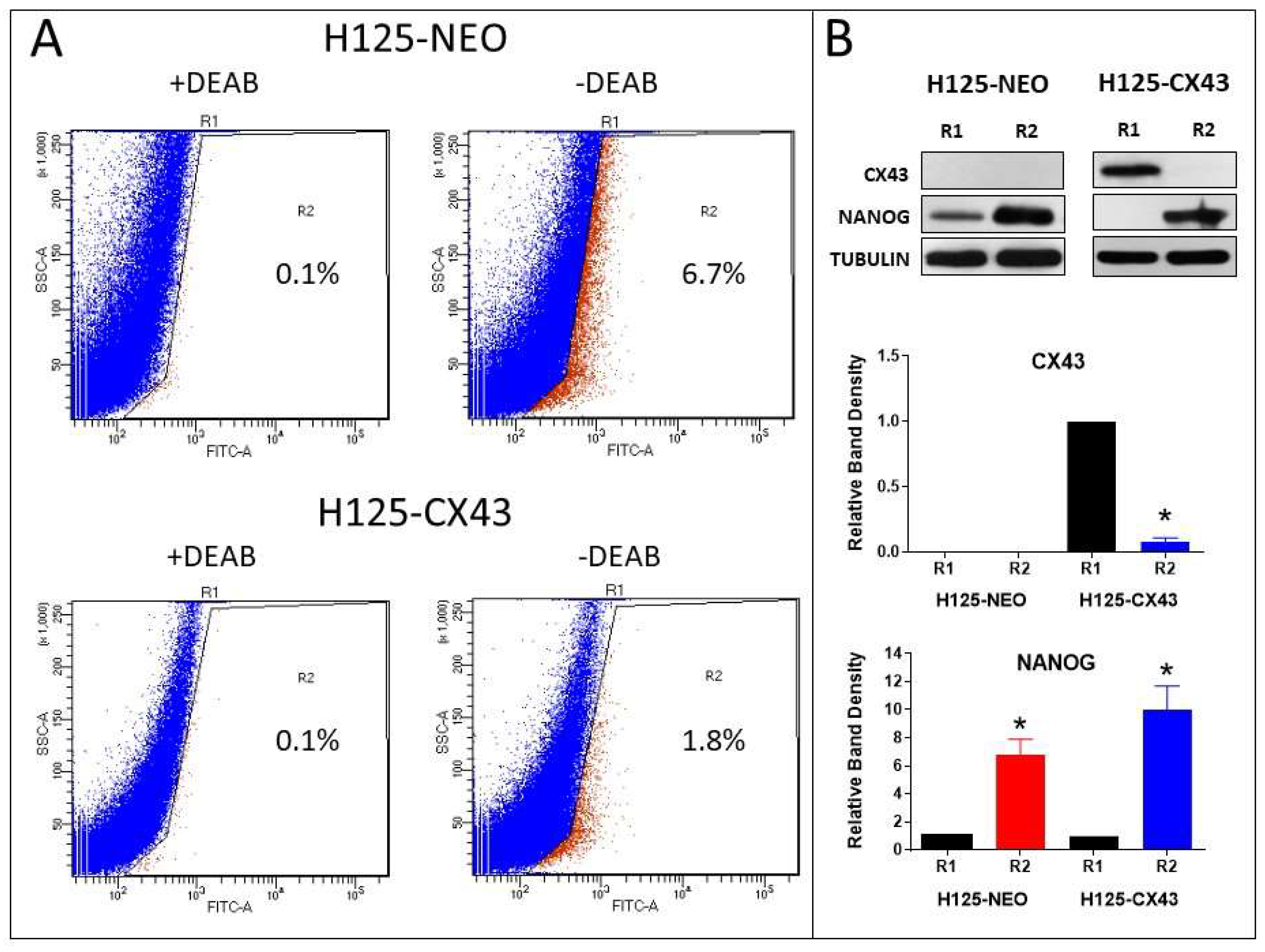 Cancers 11 00175 g007 Cancers 11 00175 g007
