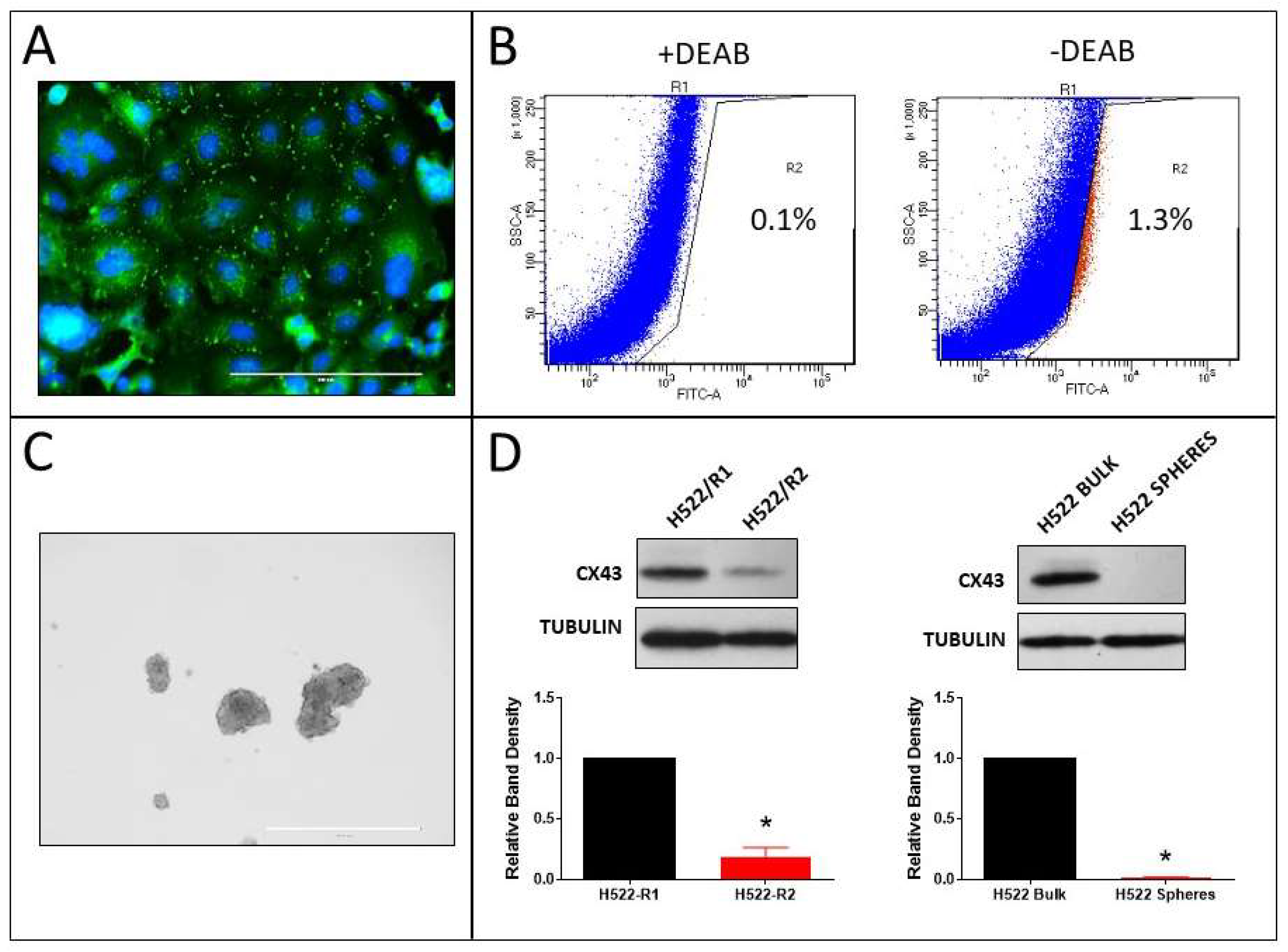 Cancers 11 00175 g008 Cancers 11 00175 g008