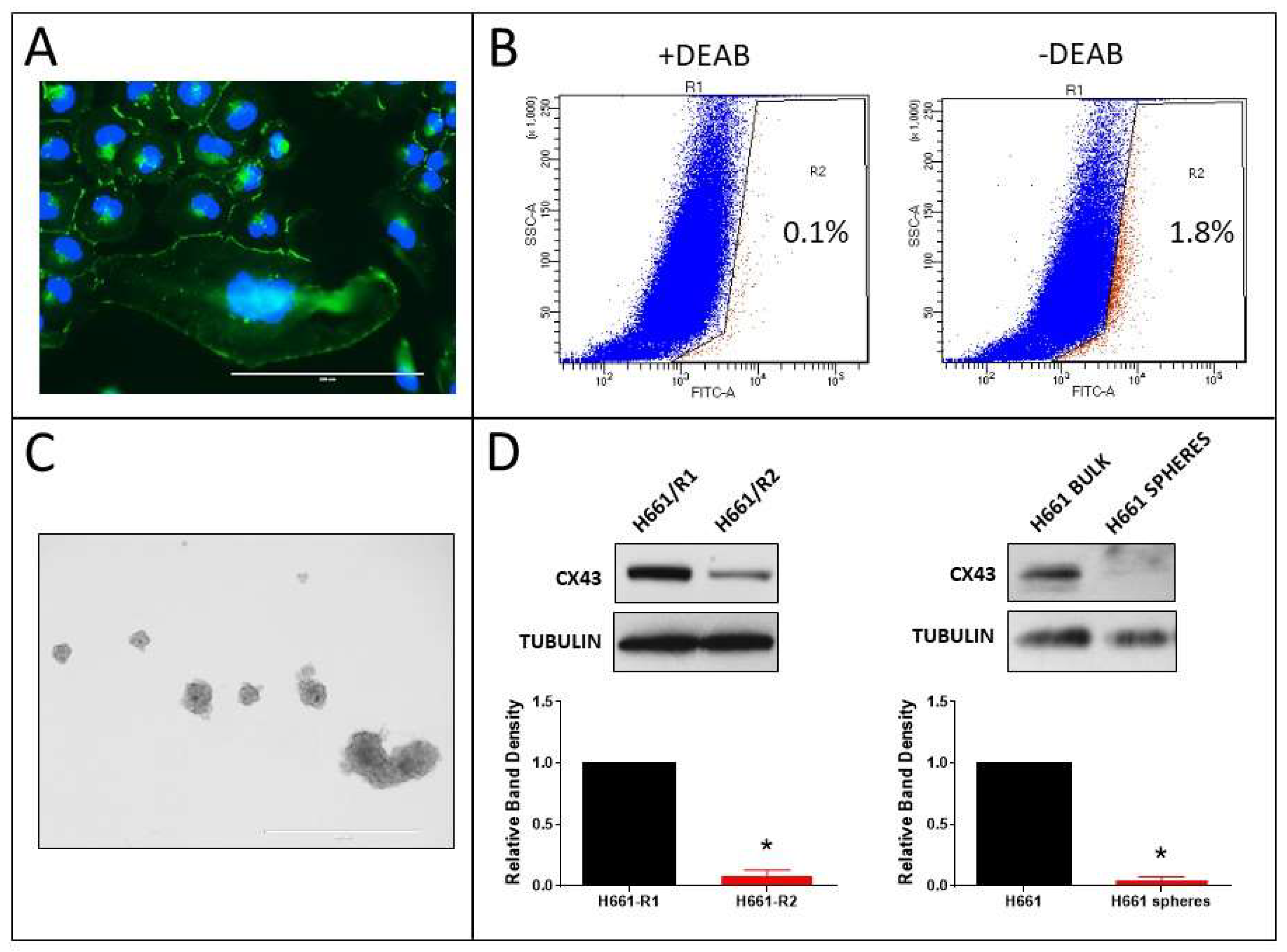 Cancers 11 00175 g009 Cancers 11 00175 g009