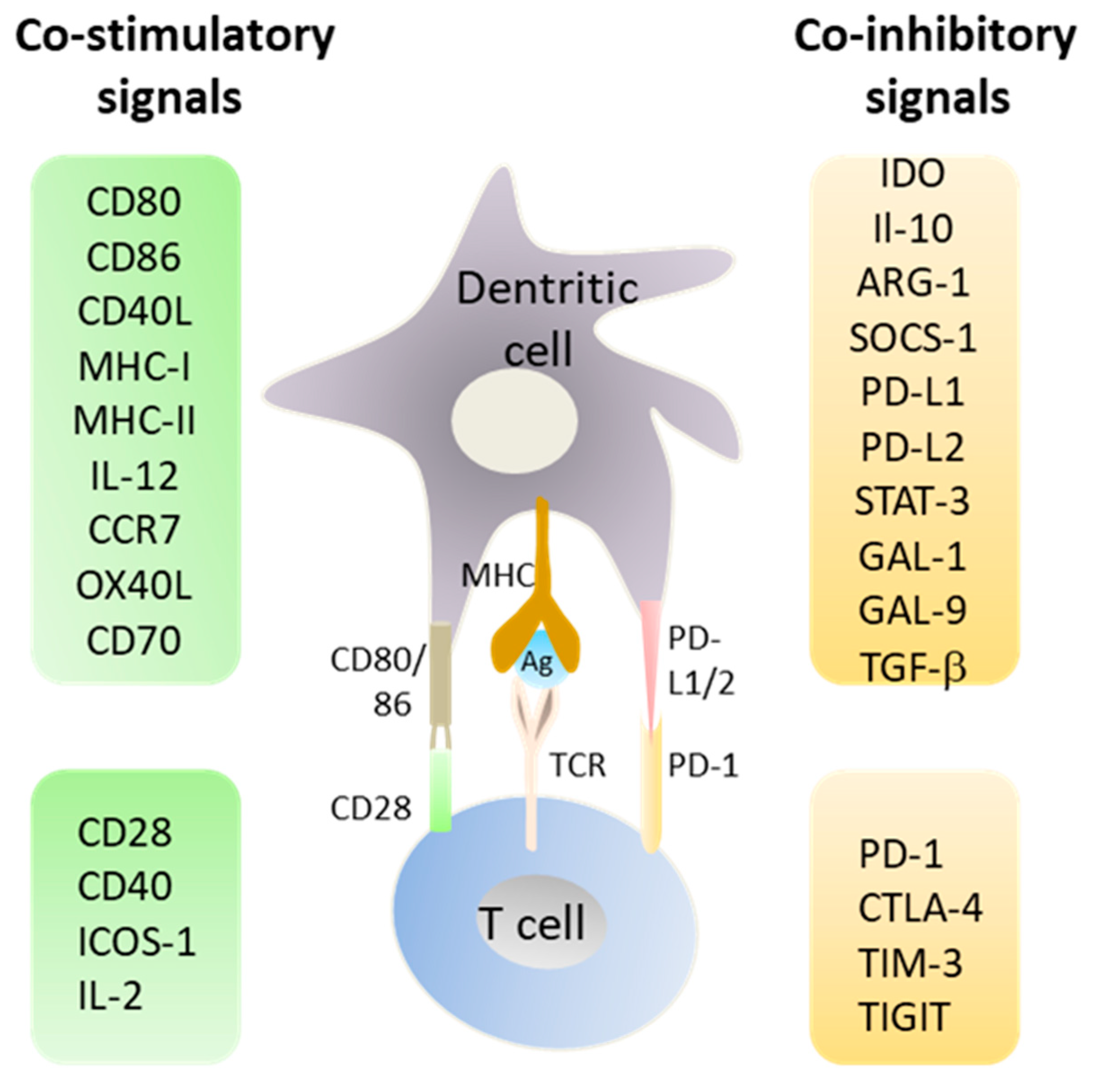 Cancers 11 00176 g001 Cancers 11 00176 g001