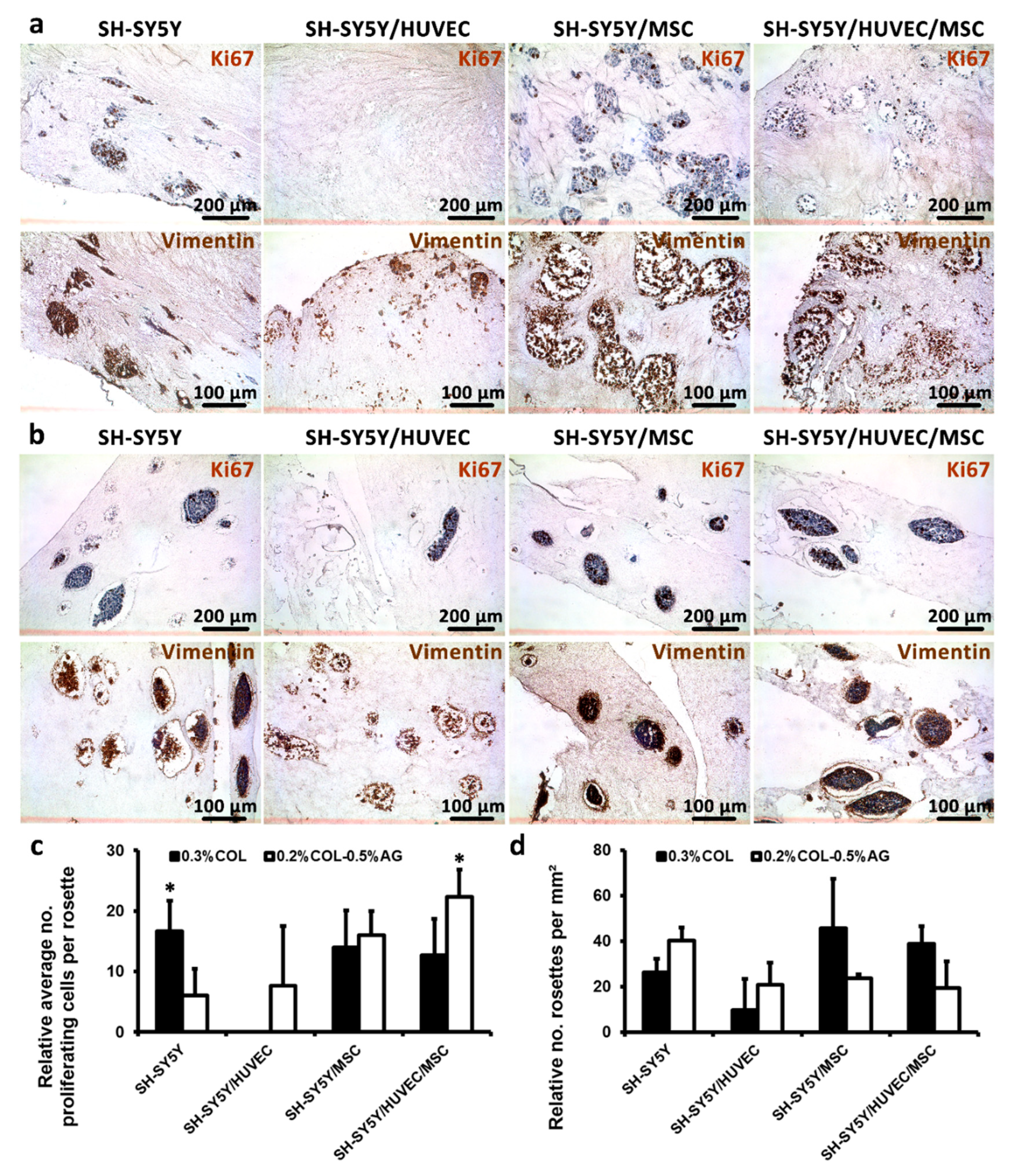 Cancers 11 00180 g005