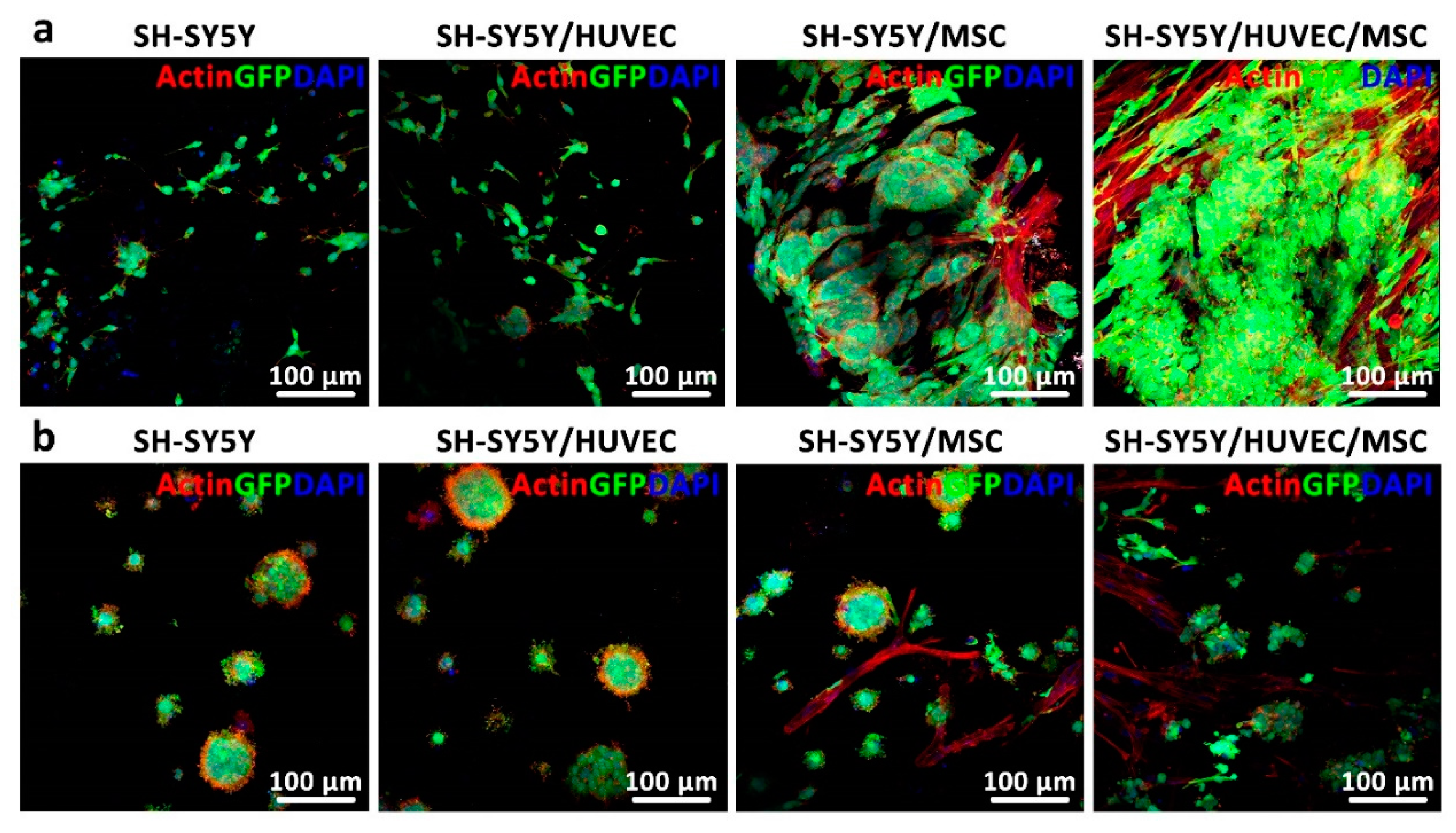 Cancers 11 00180 g006