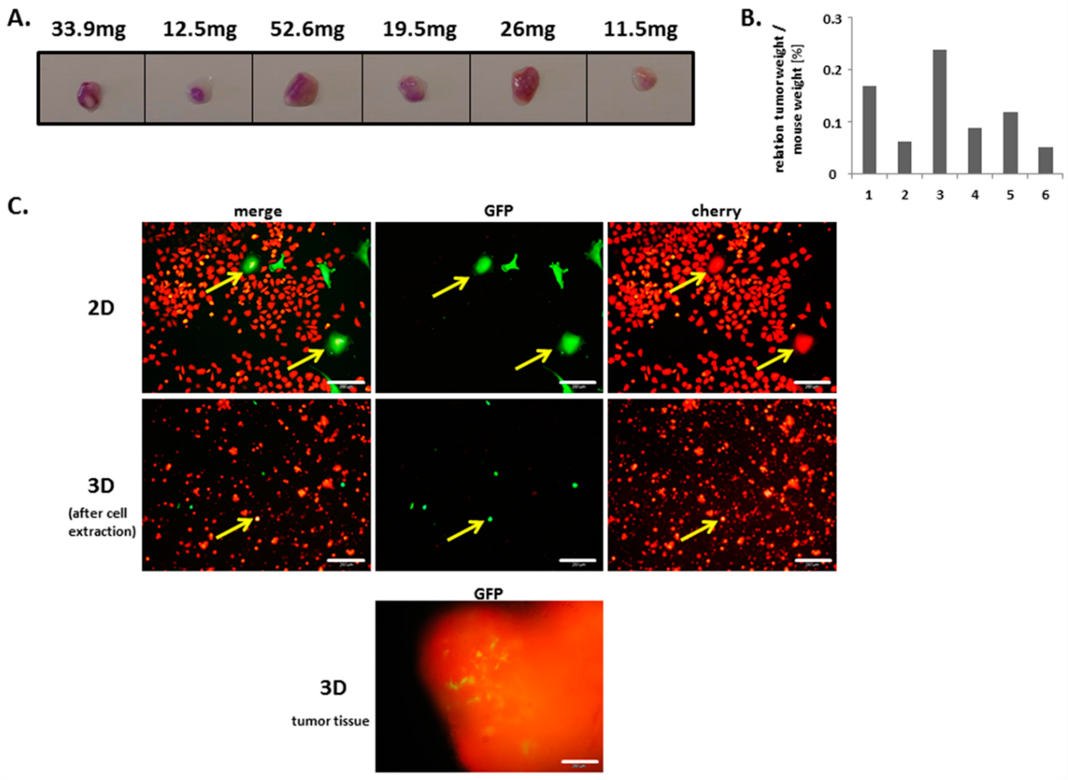 Cancers 11 00185 g003 550