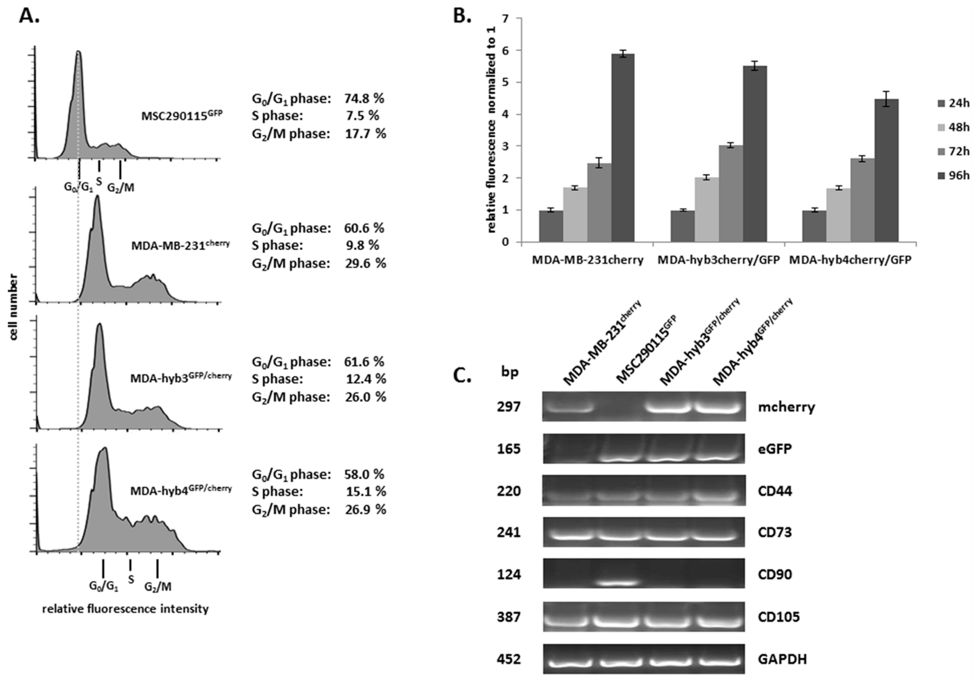 Cancers 11 00185 g005 550