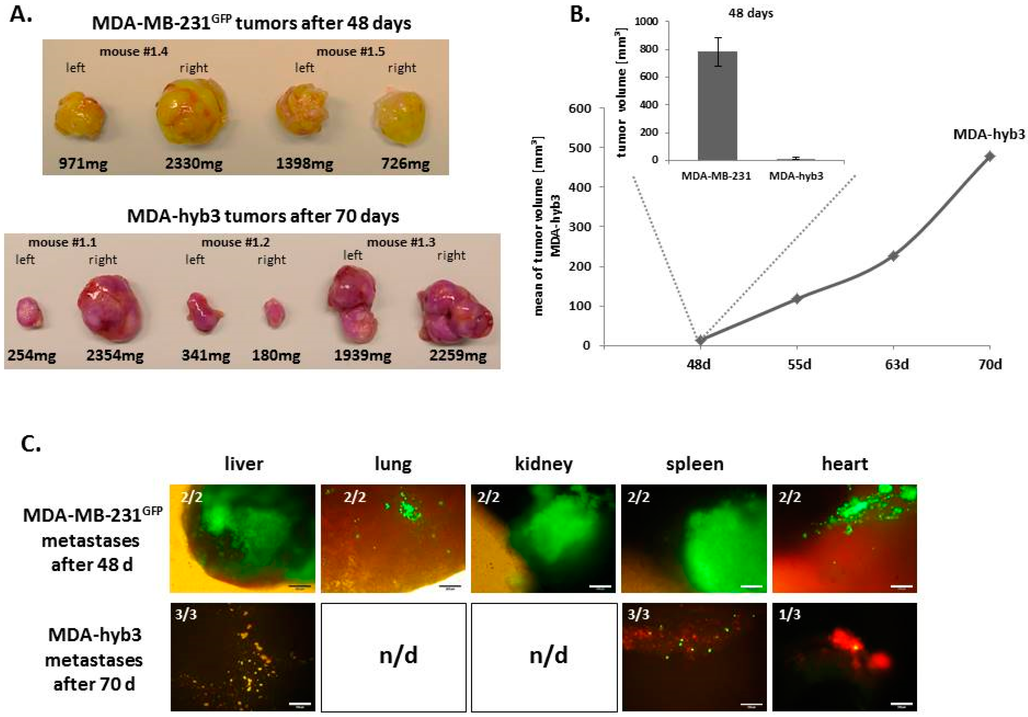 Cancers 11 00185 g006 550