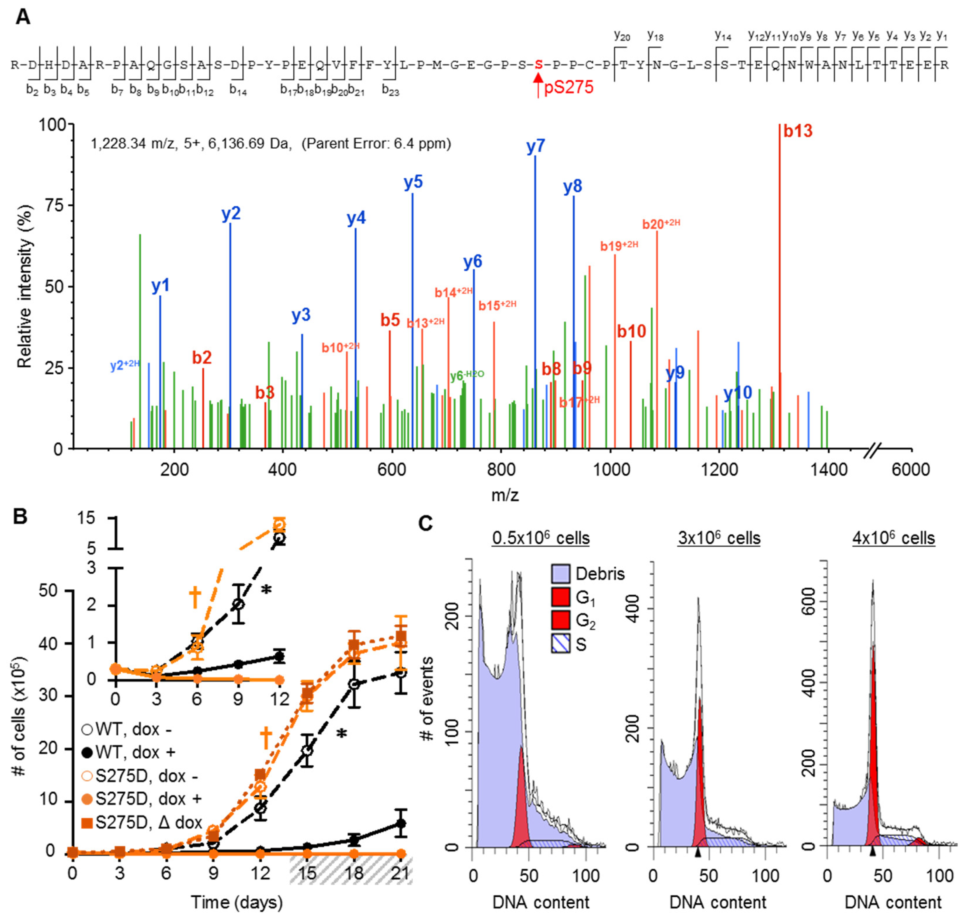 Cancers 11 00188 g004 550