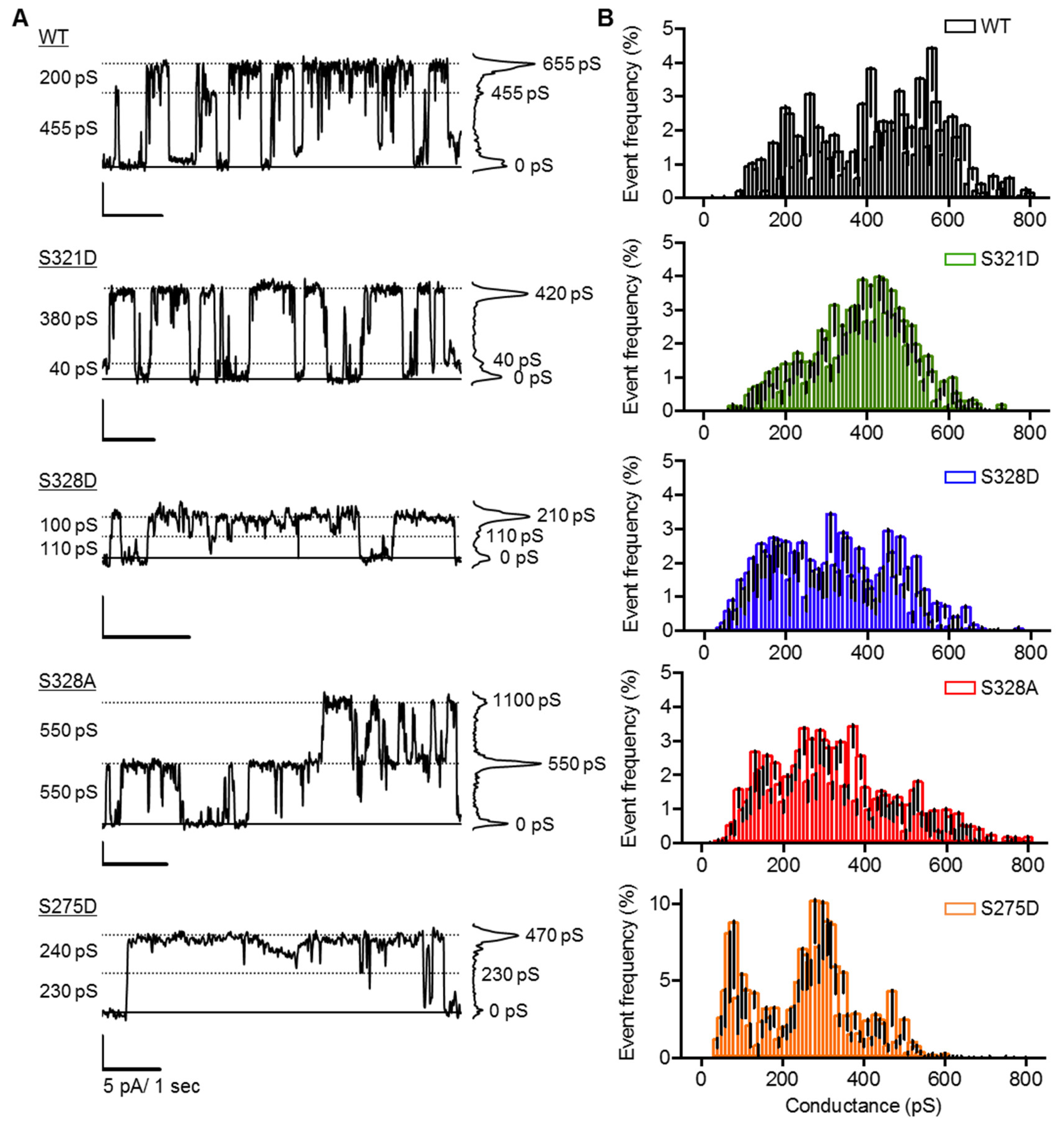 Cancers 11 00188 g005 550